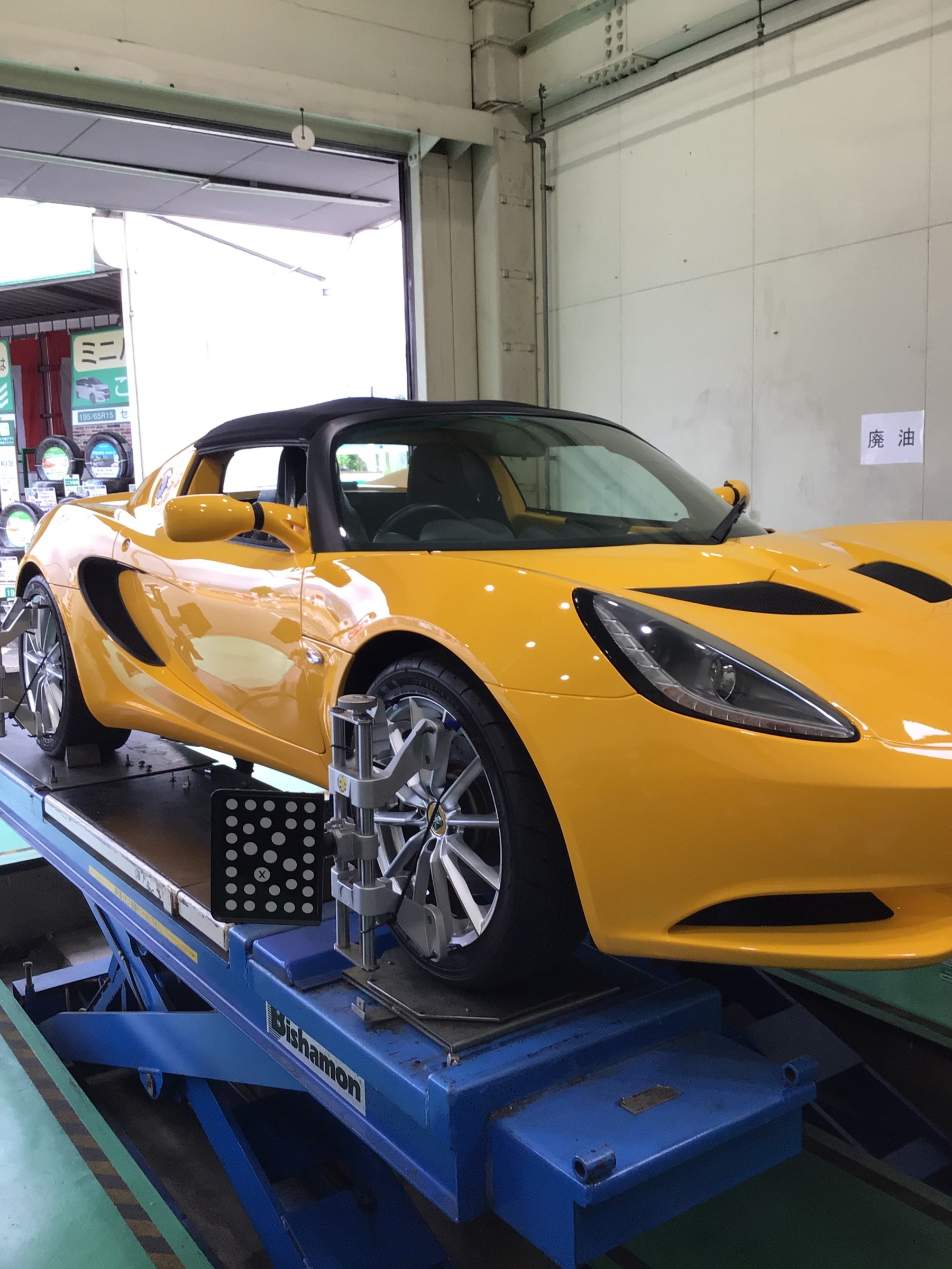 画像はスタッフ撮影です。
