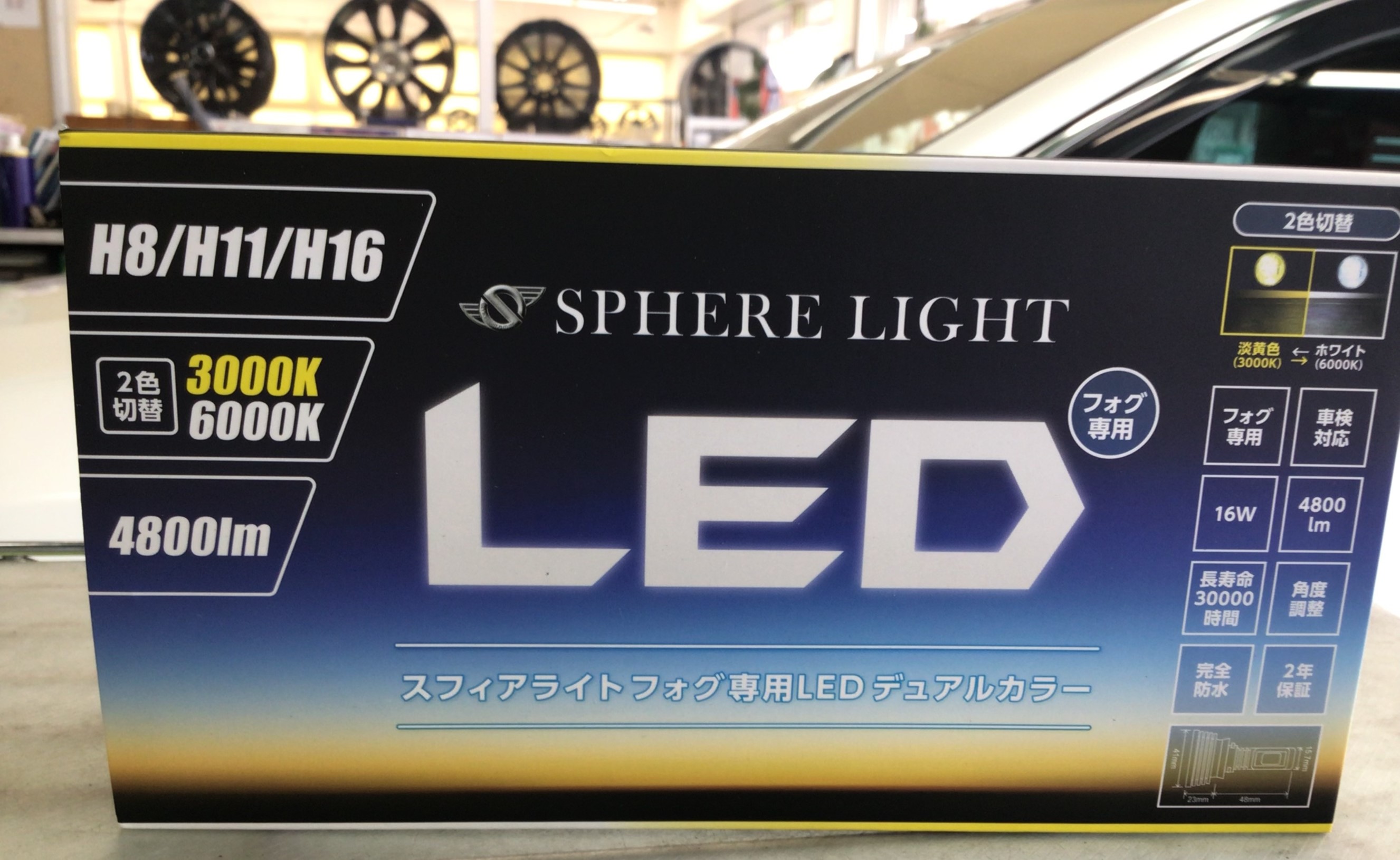 スタッフ撮影分