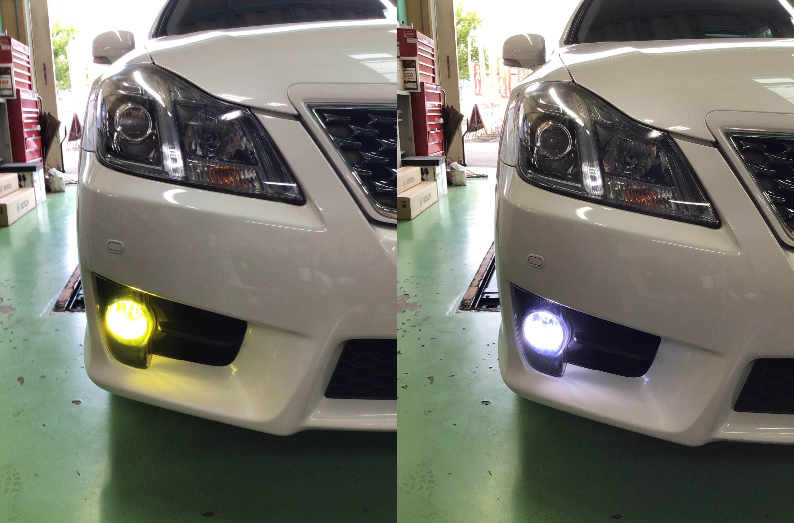 スタッフ撮影分