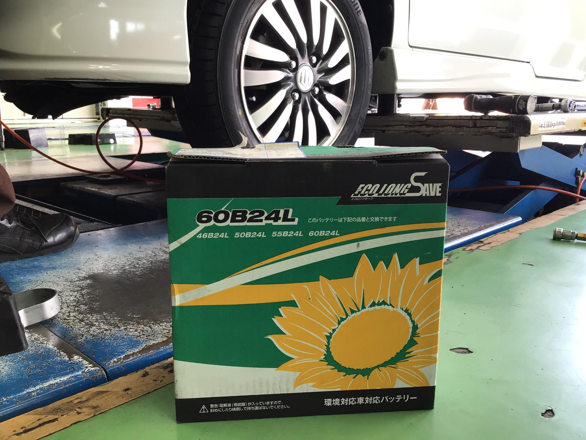 スタッフ撮影分