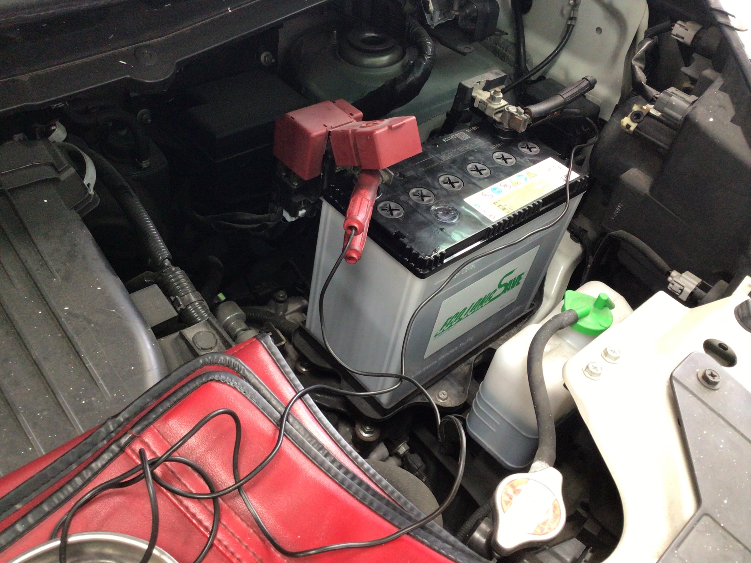 スタッフ撮影分