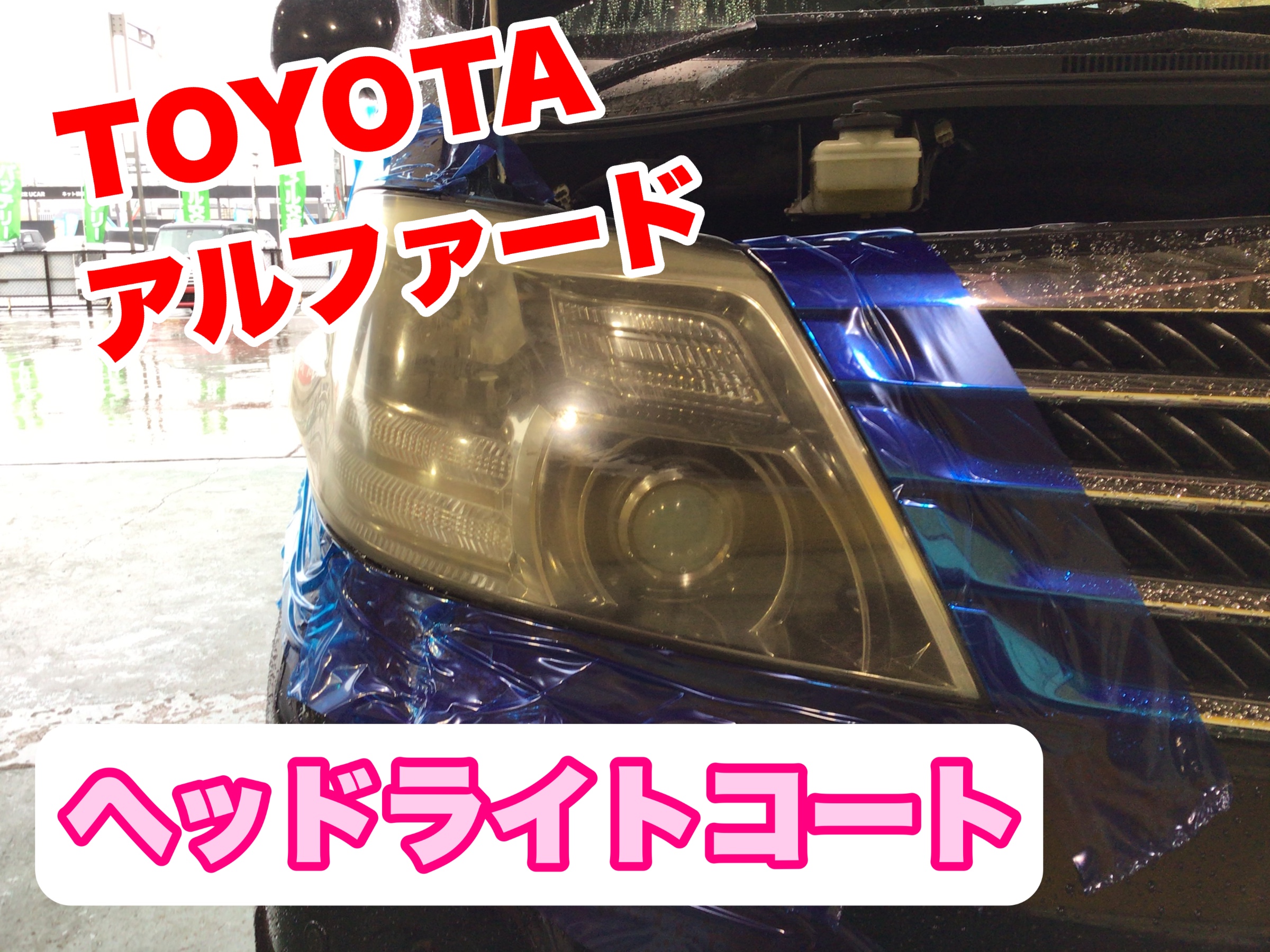 スタッフが撮影加工した画像