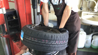 動画