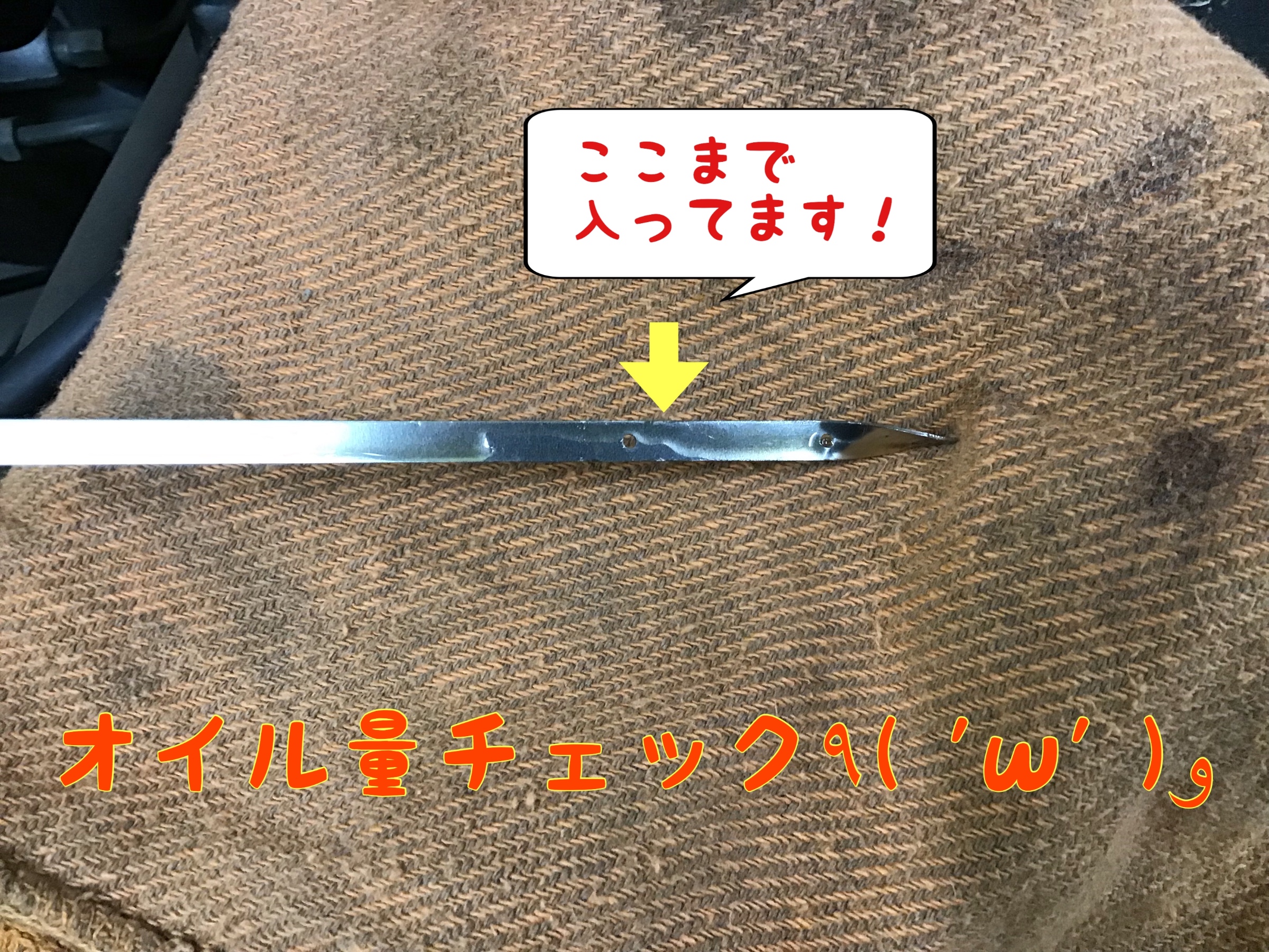 リエラアルトオイル✕２本 Lyrae / Altoオイルの商品情報｜美容・化粧品情報はアットコスメ