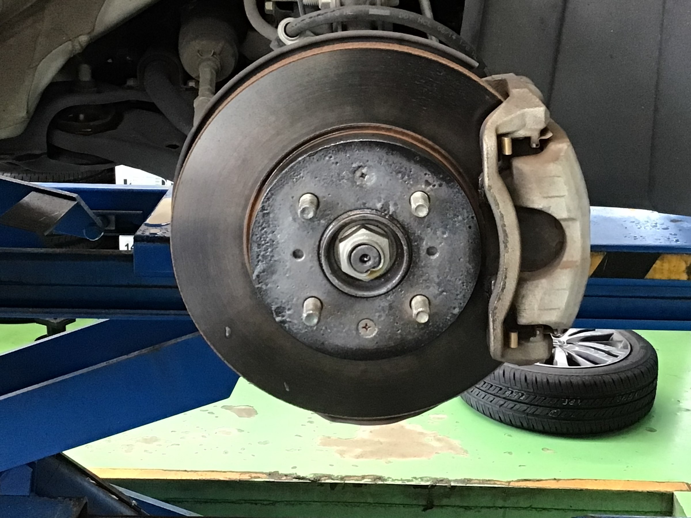 スタッフ撮影分