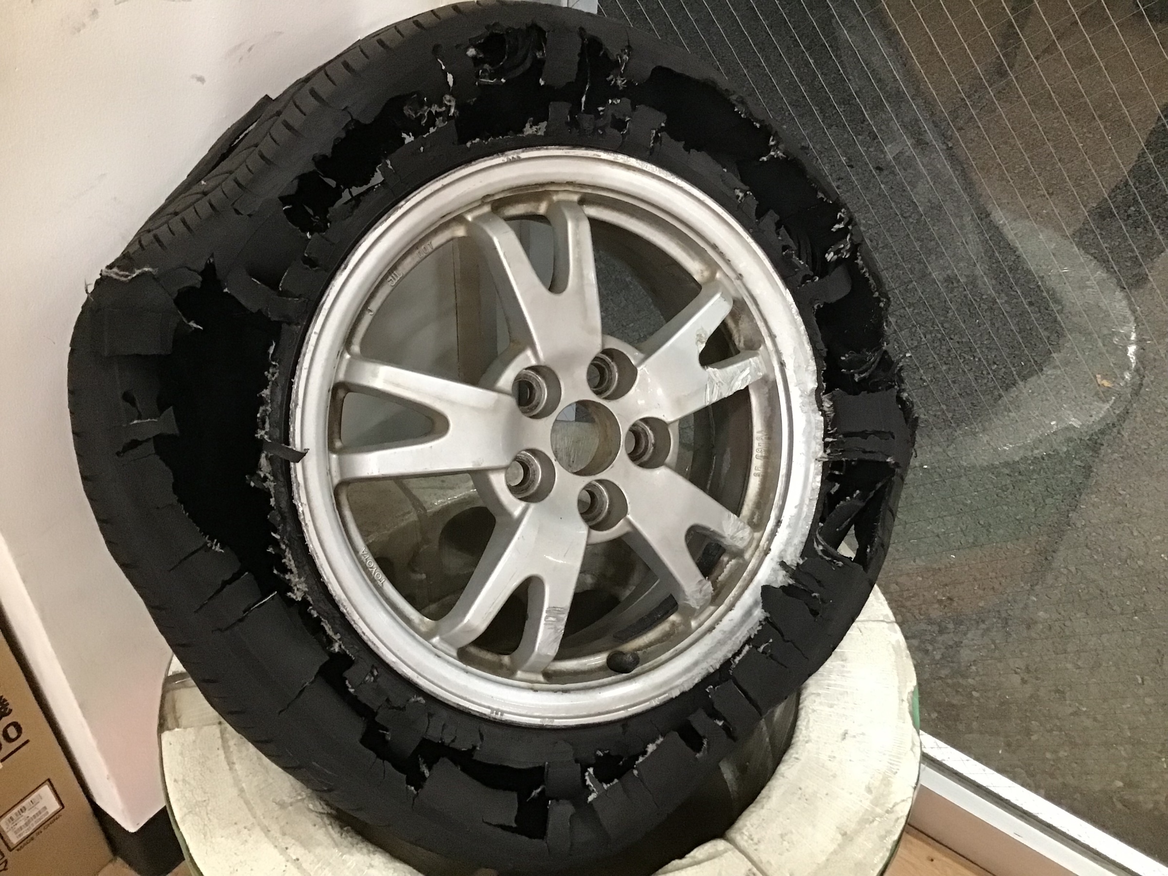 スタッフ撮影画像