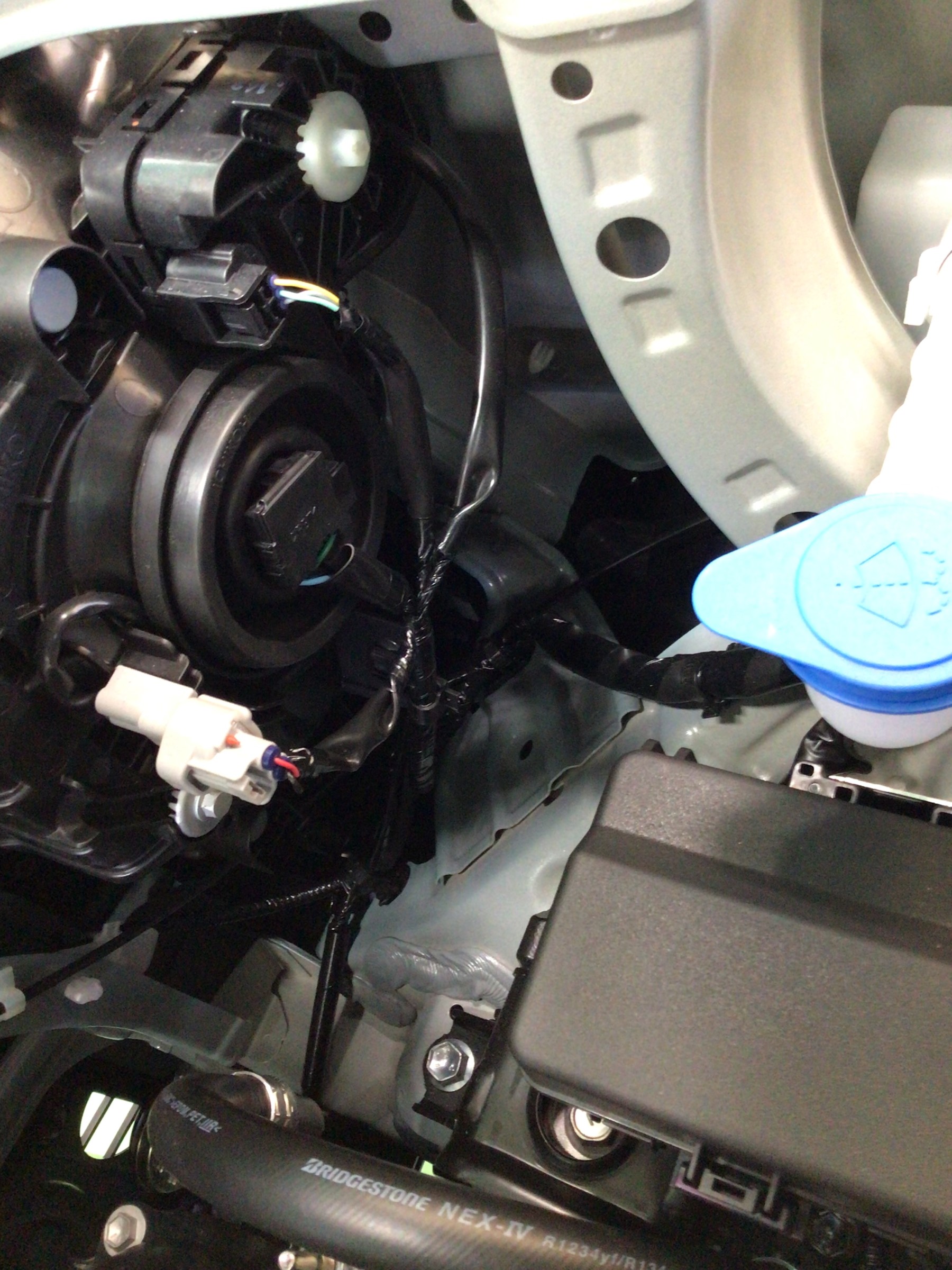 スタッフ撮影分