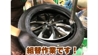 動画