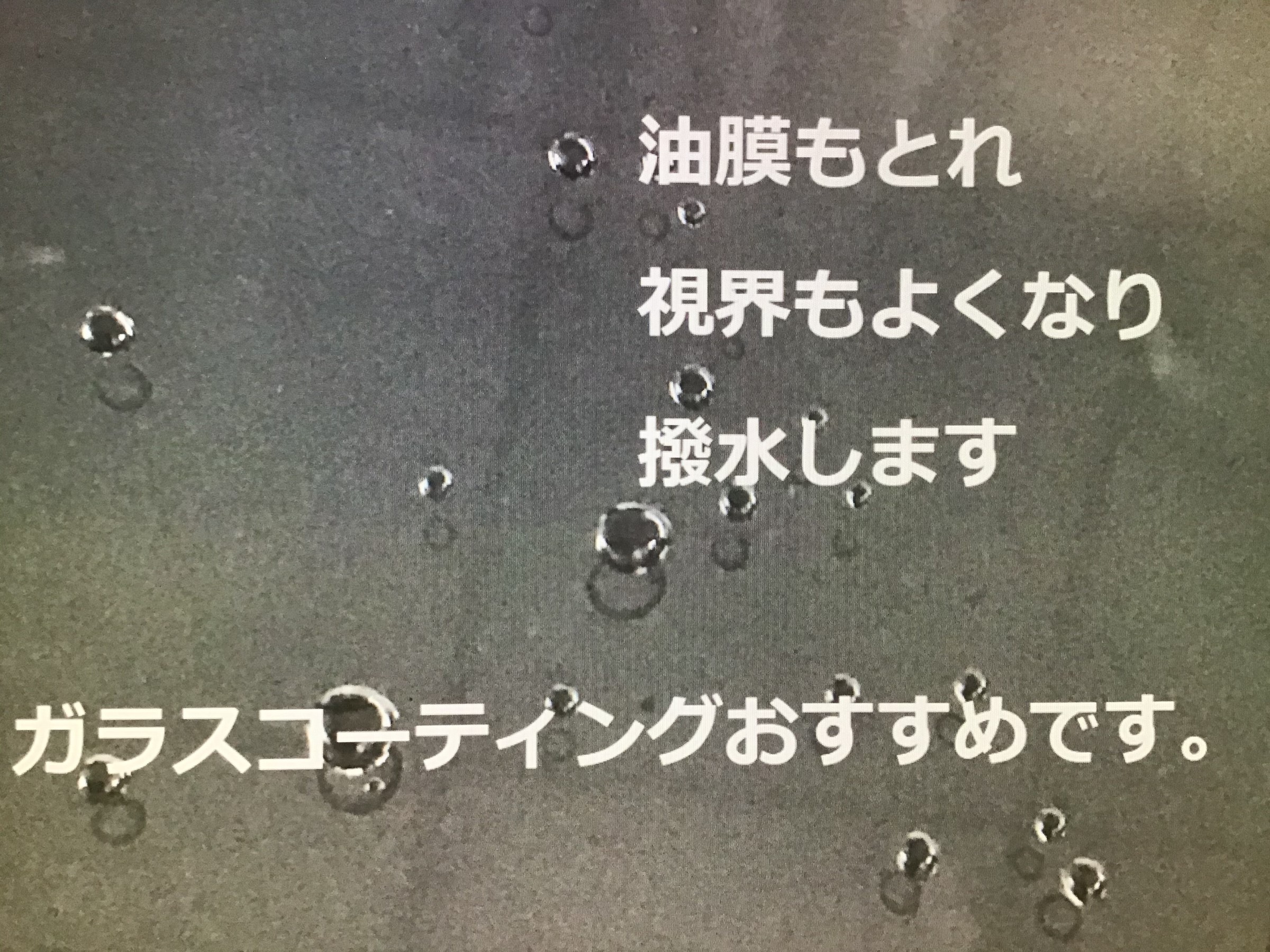 画像はスタッフ撮影です。