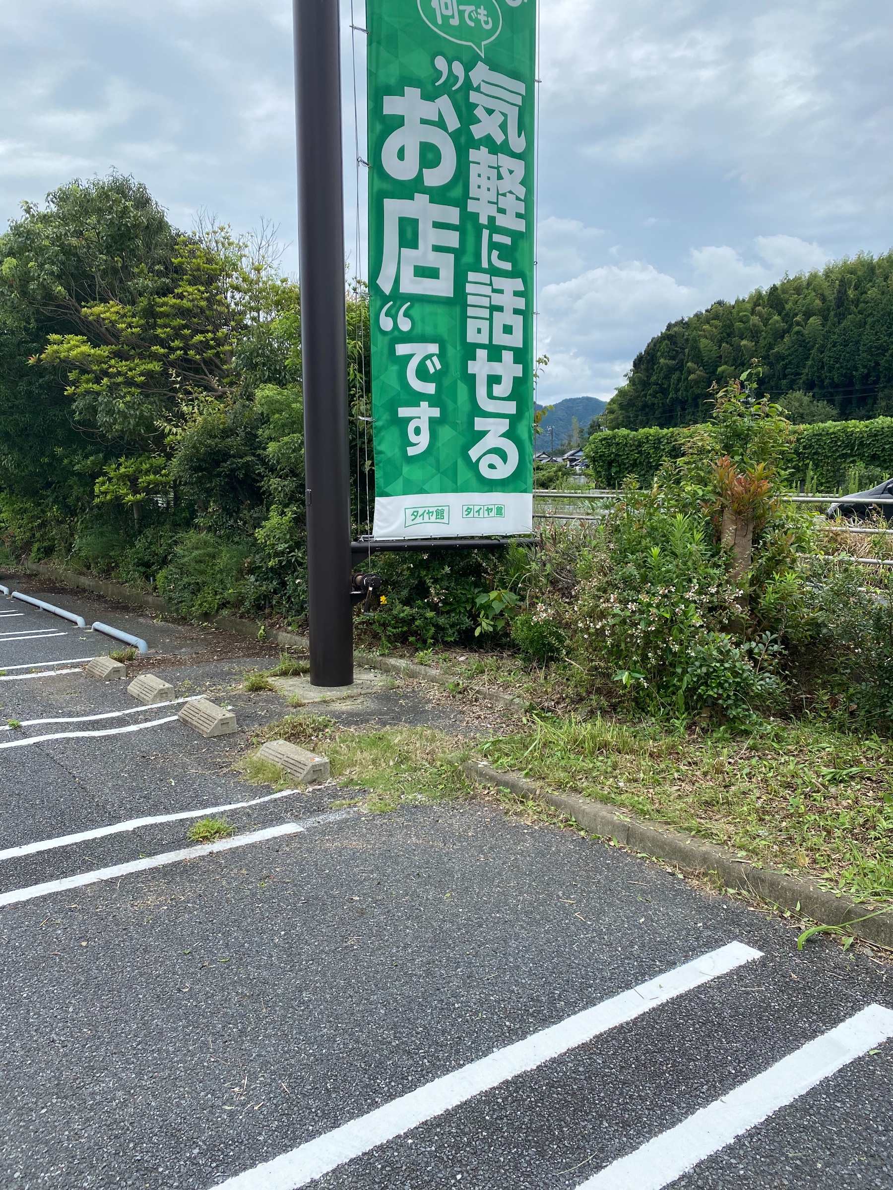 自分が撮影してます