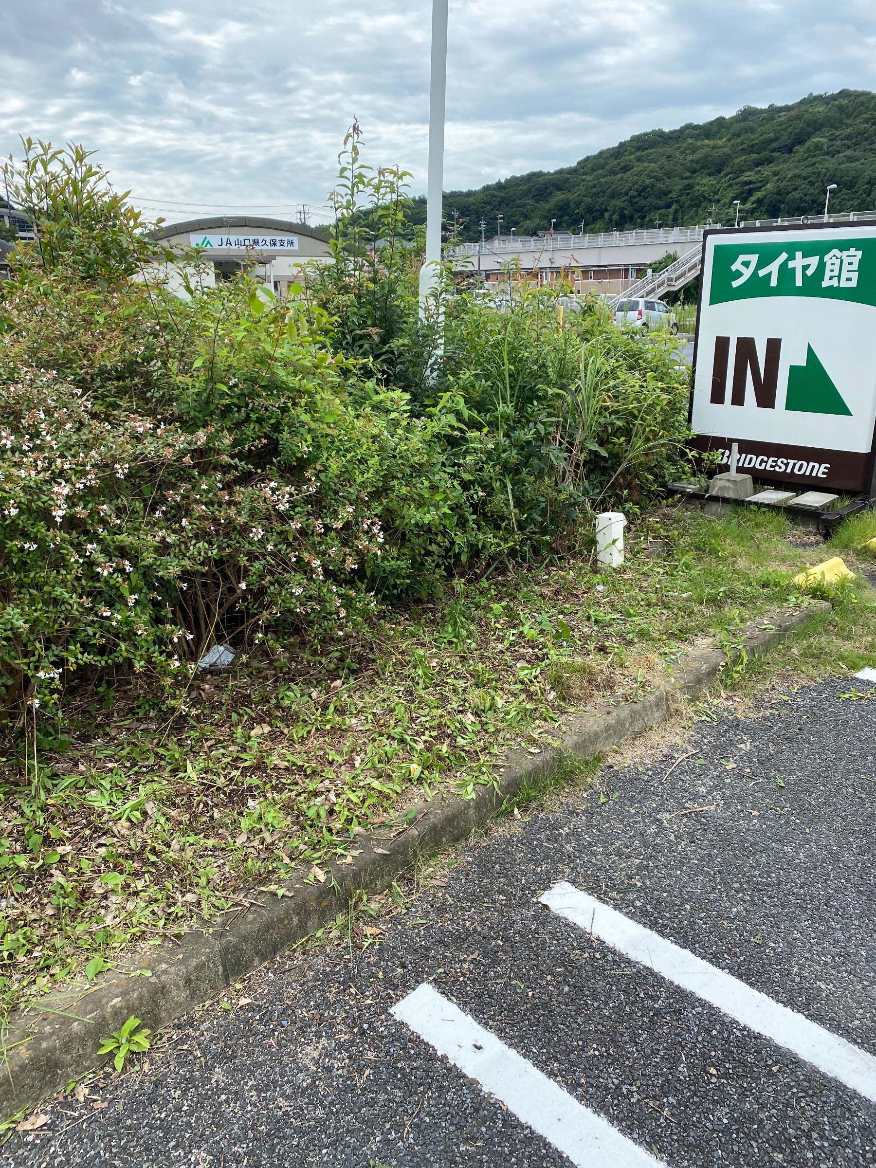 自分が撮影してます
