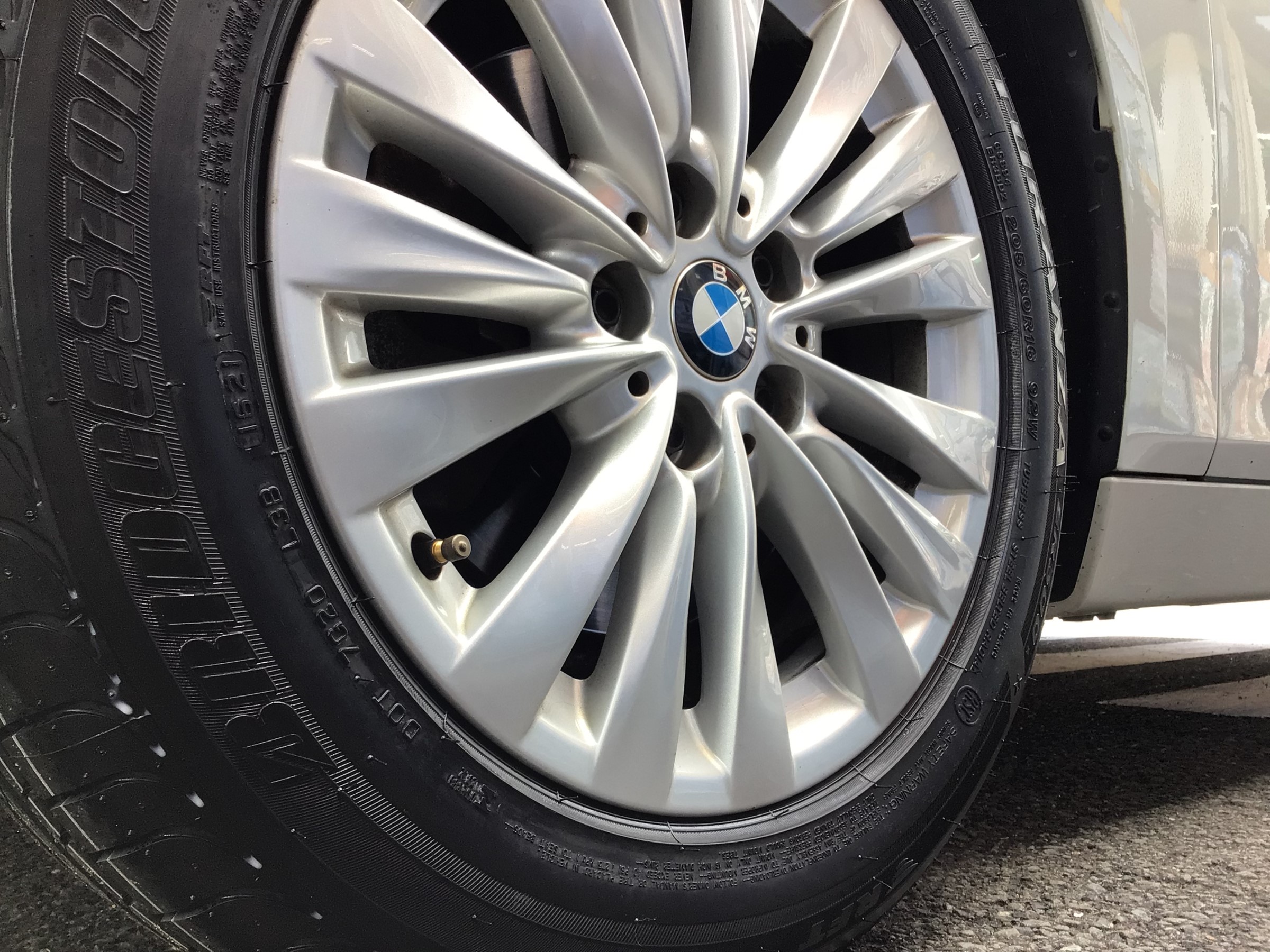 スタッフ撮影分