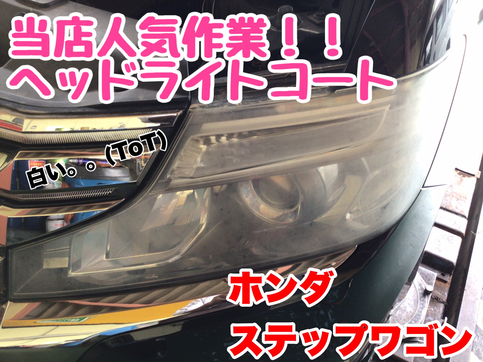 スタッフが撮影加工した画像