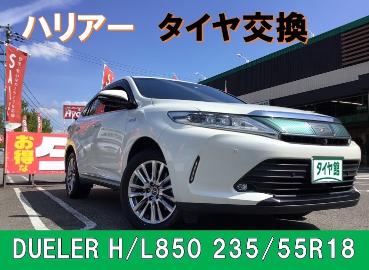 スタッフ撮影分