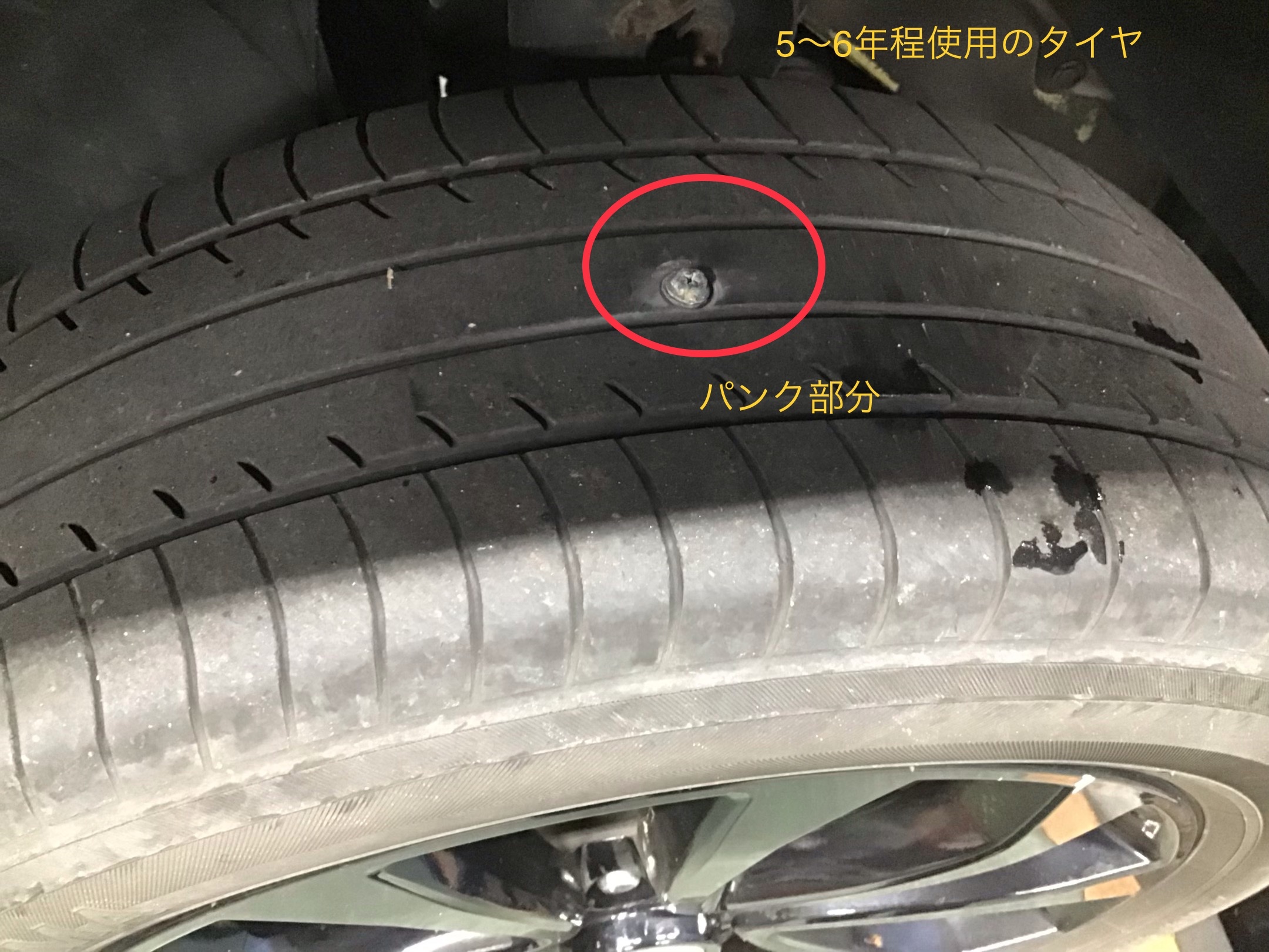 スタッフ撮影