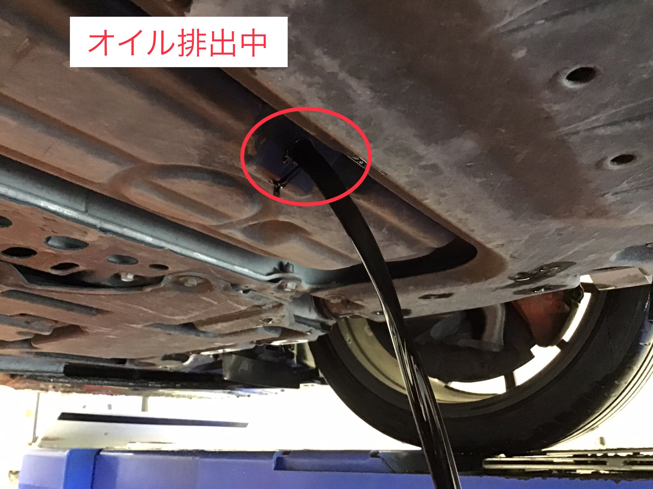 LEXUS/IS-F】オイル交換 | 店舗おススメ情報 | タイヤ館 水戸