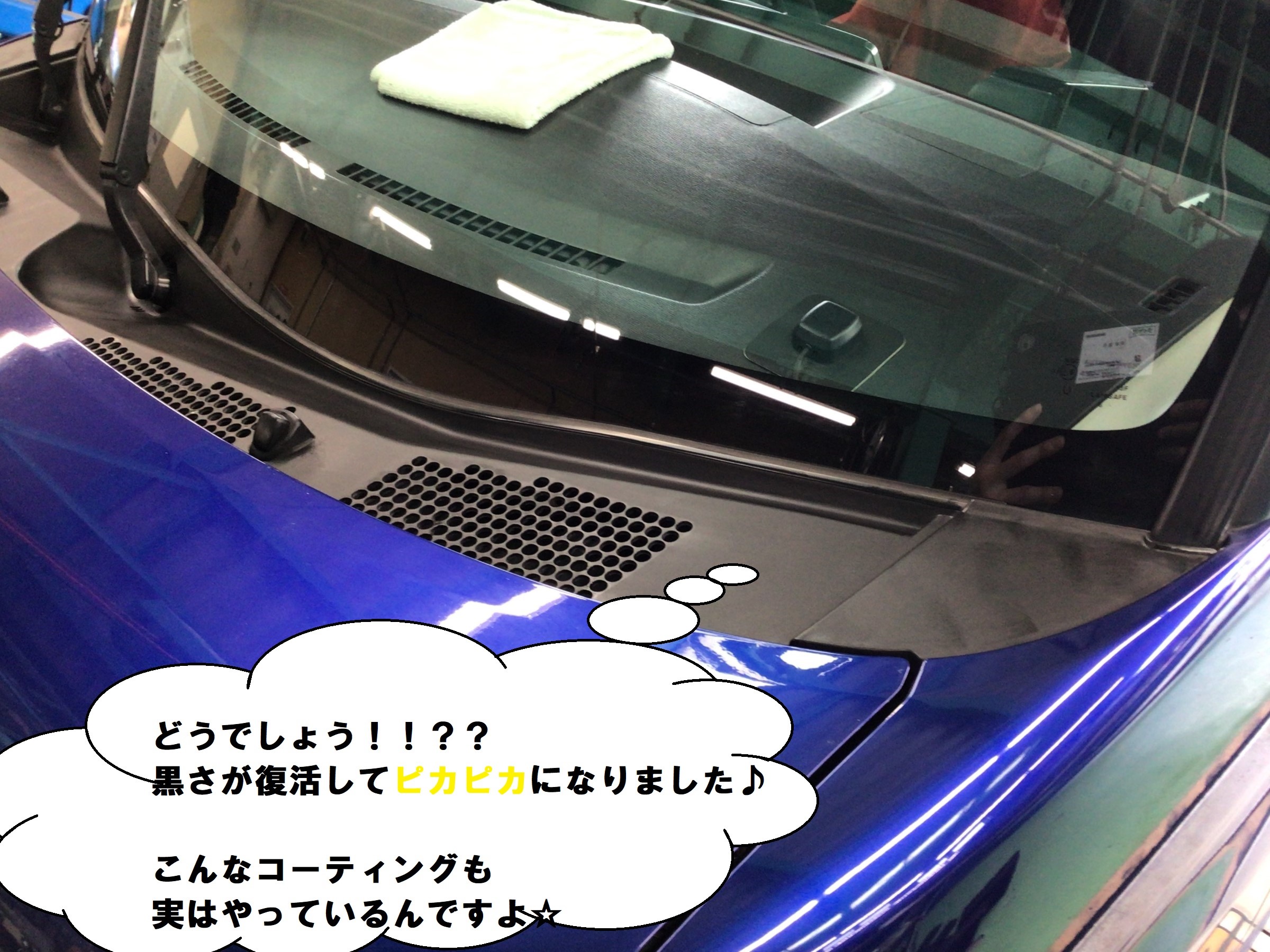 スタッフ撮影分