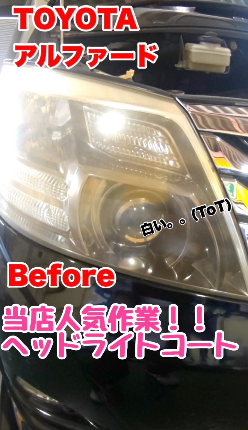スタッフが撮影加工した画像
