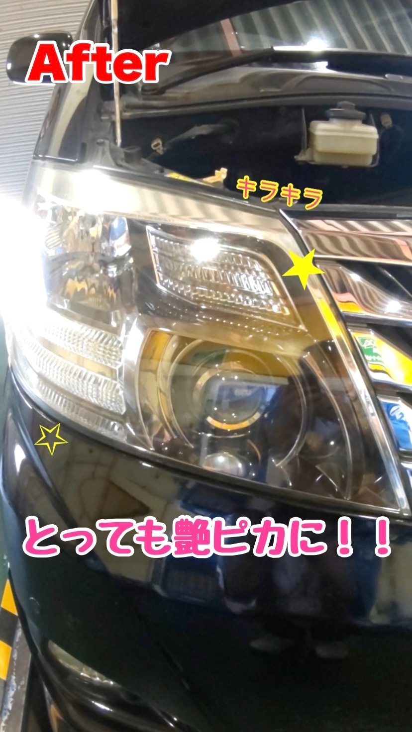 スタッフが撮影加工した画像