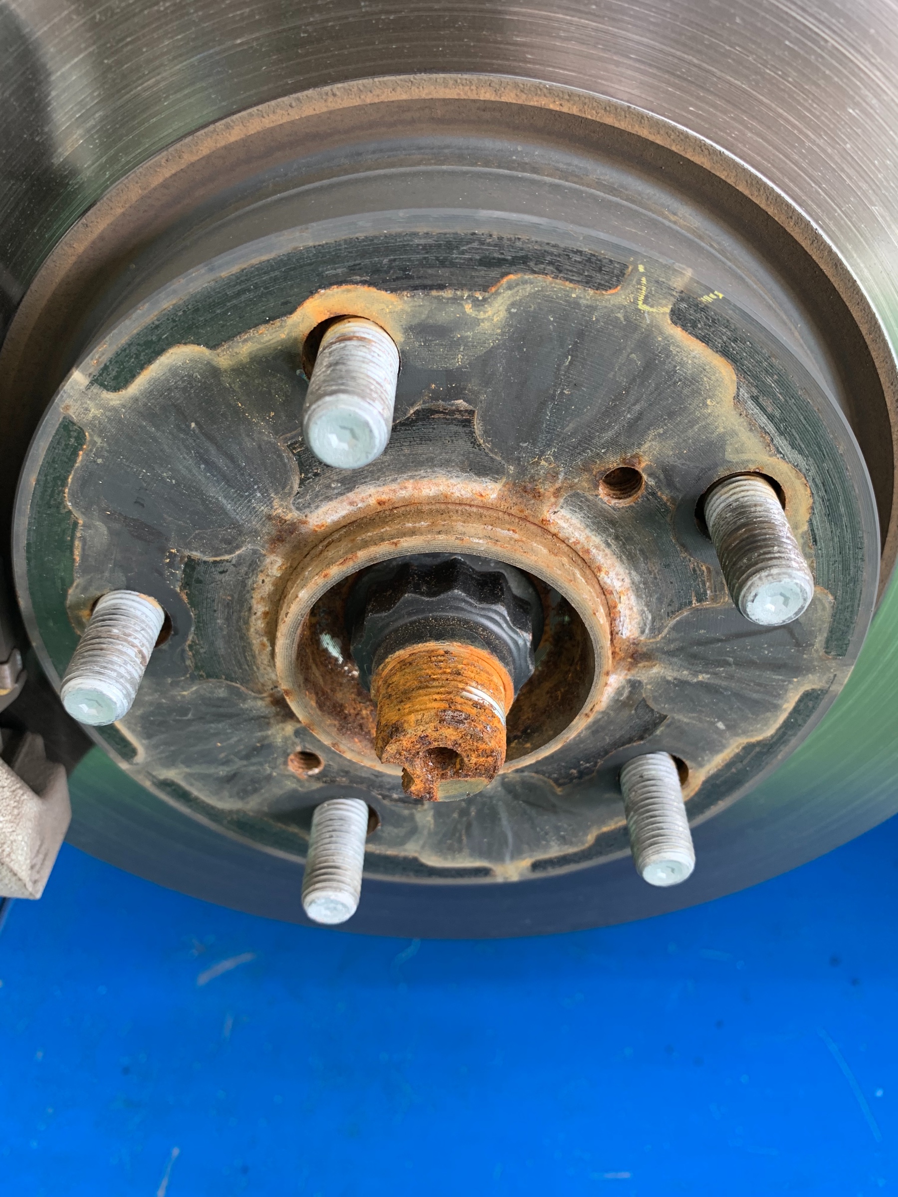 スタッフ撮影画像