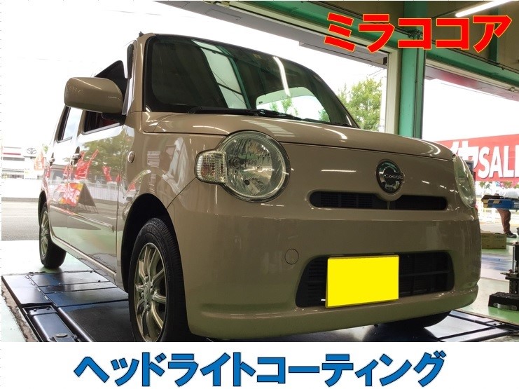 スタッフ撮影分