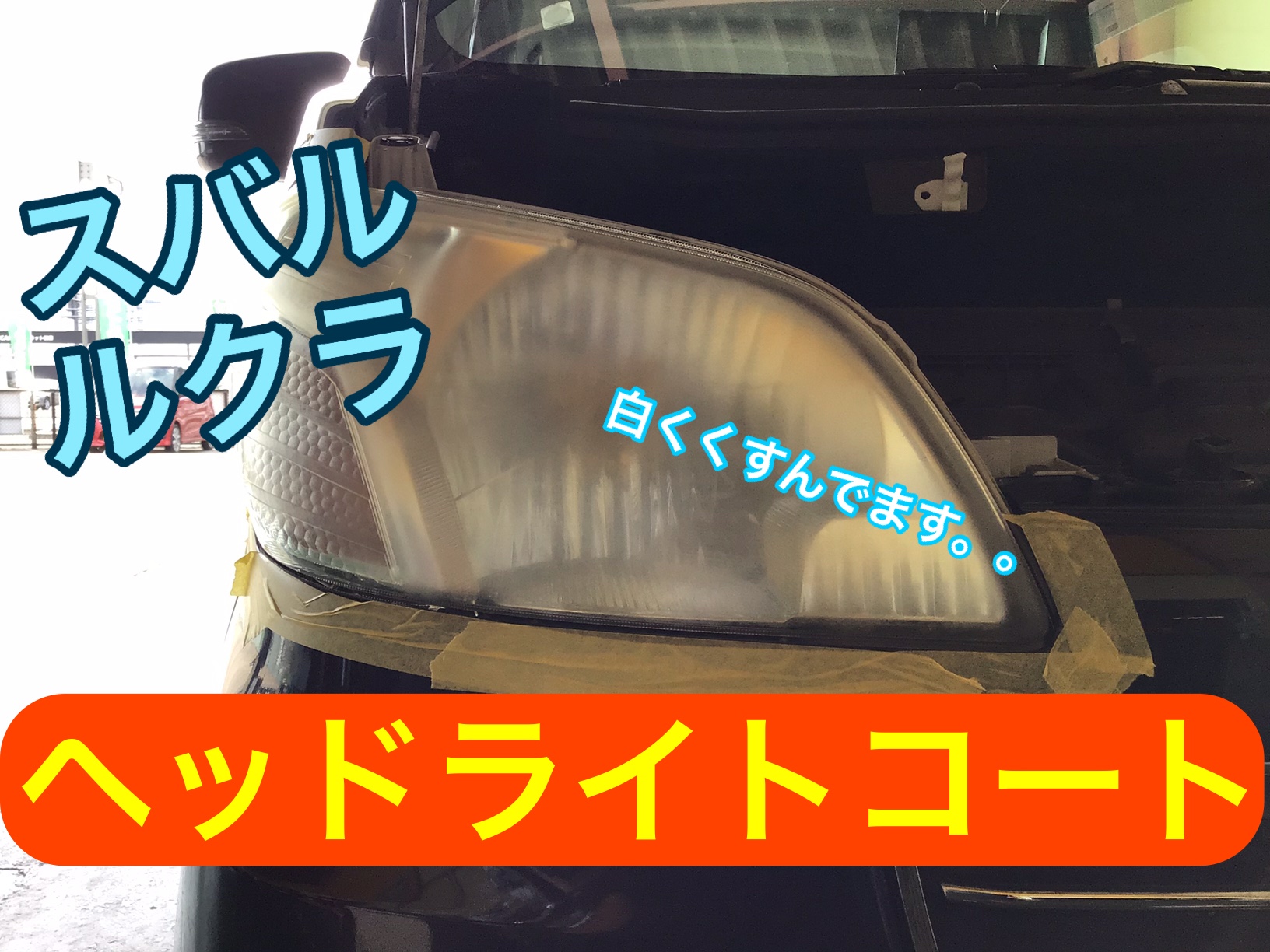スタッフが撮影加工した画像
