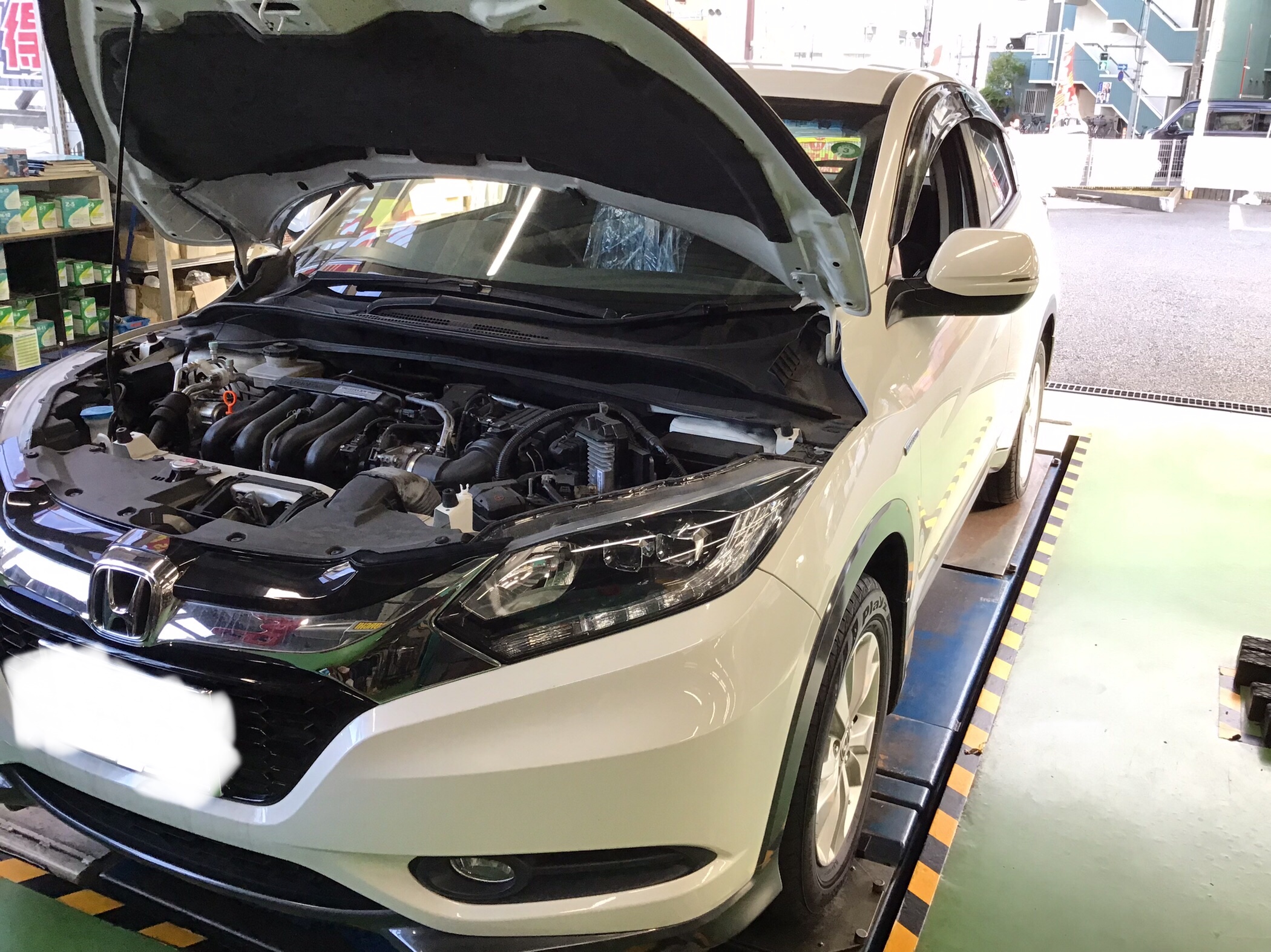 スタッフ撮影画像