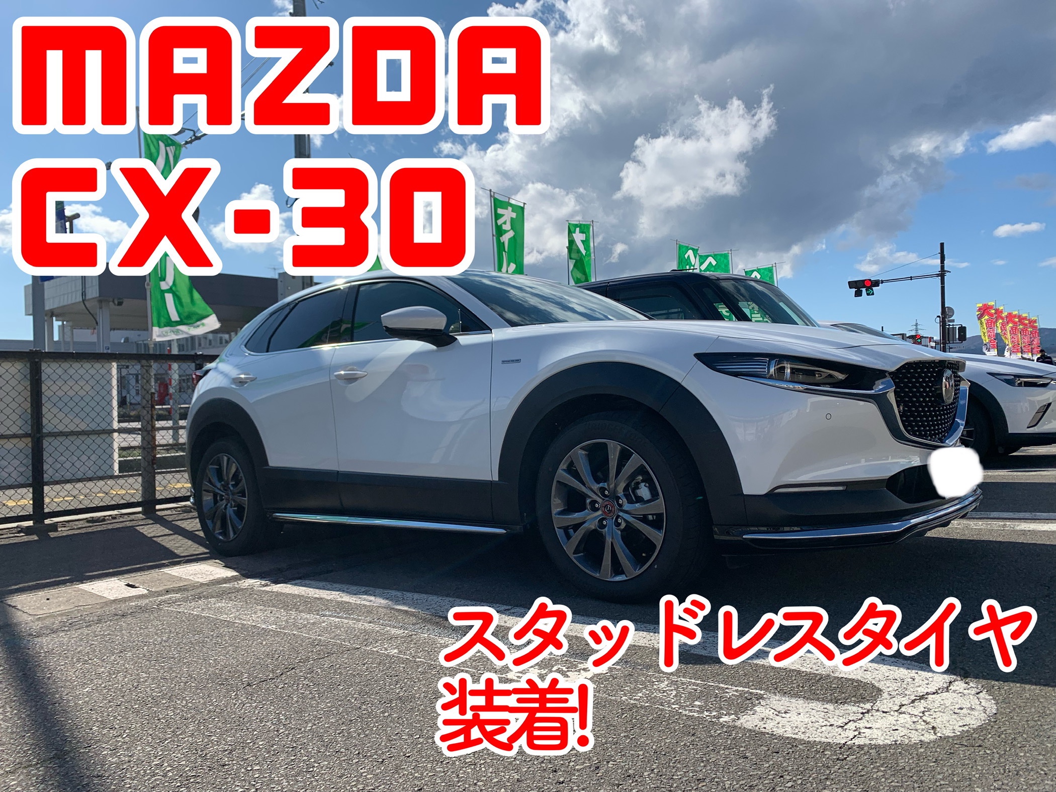 スタッフが撮影加工