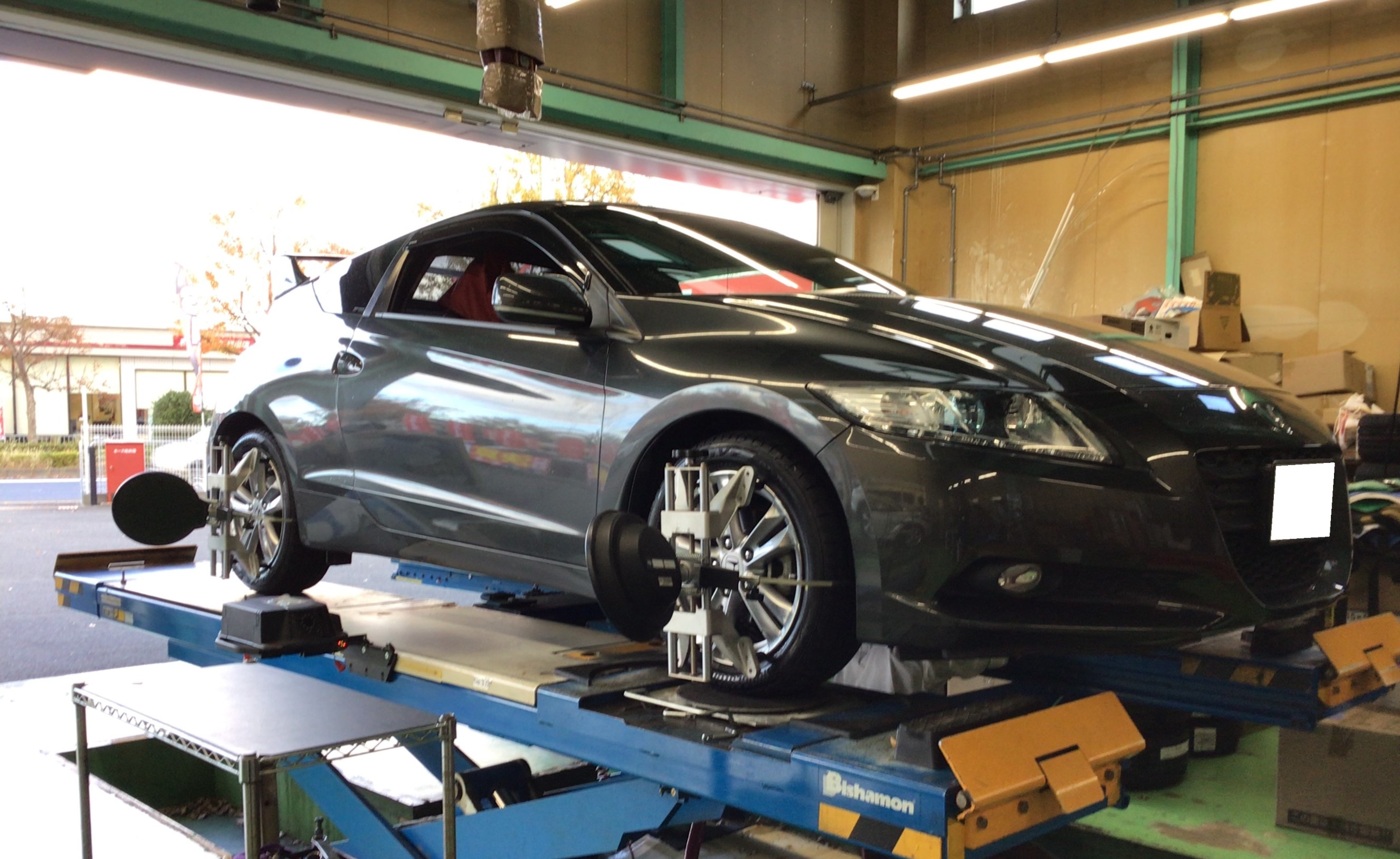 スタッフ撮影分