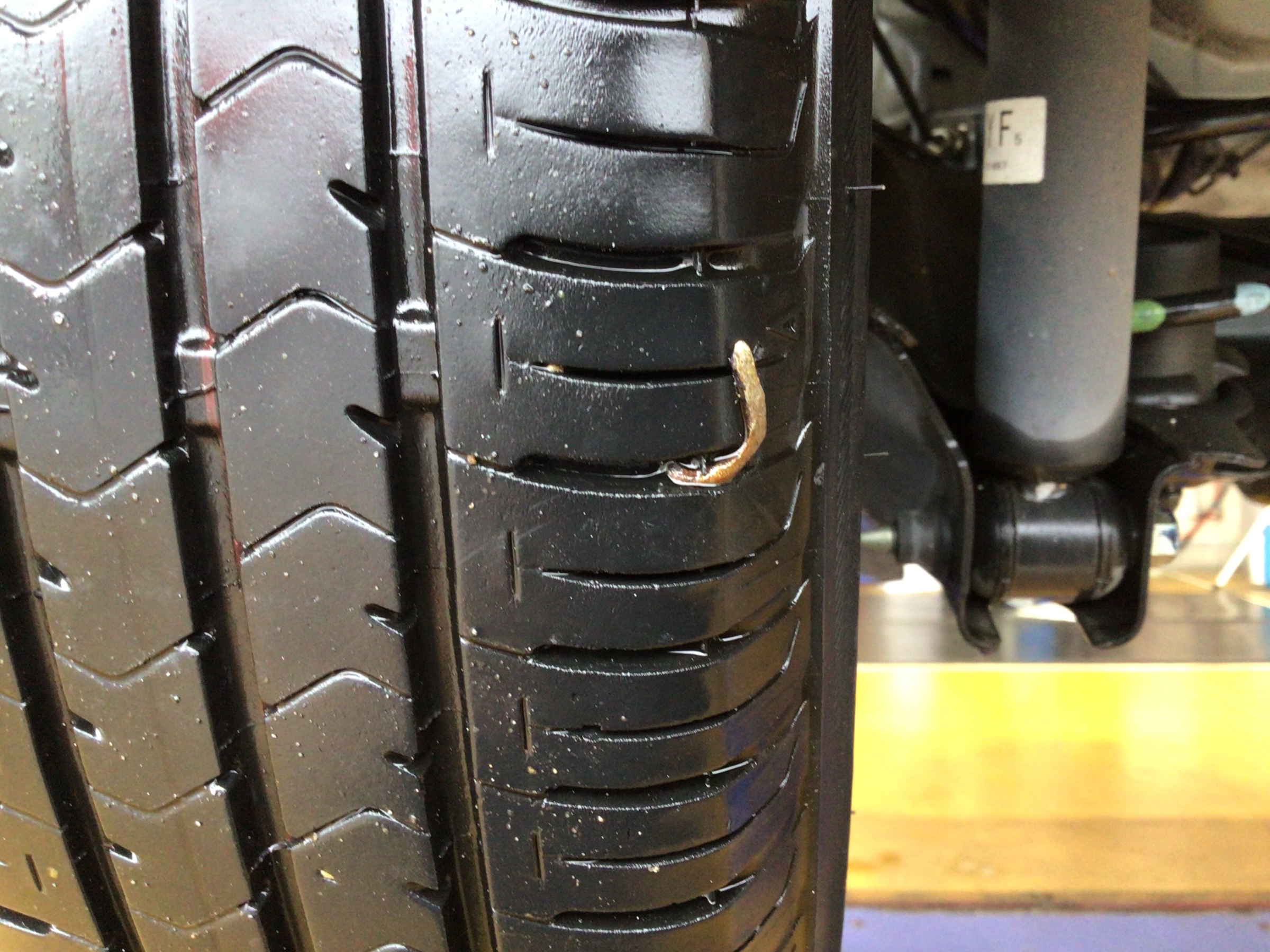 スタッフ撮影写真
