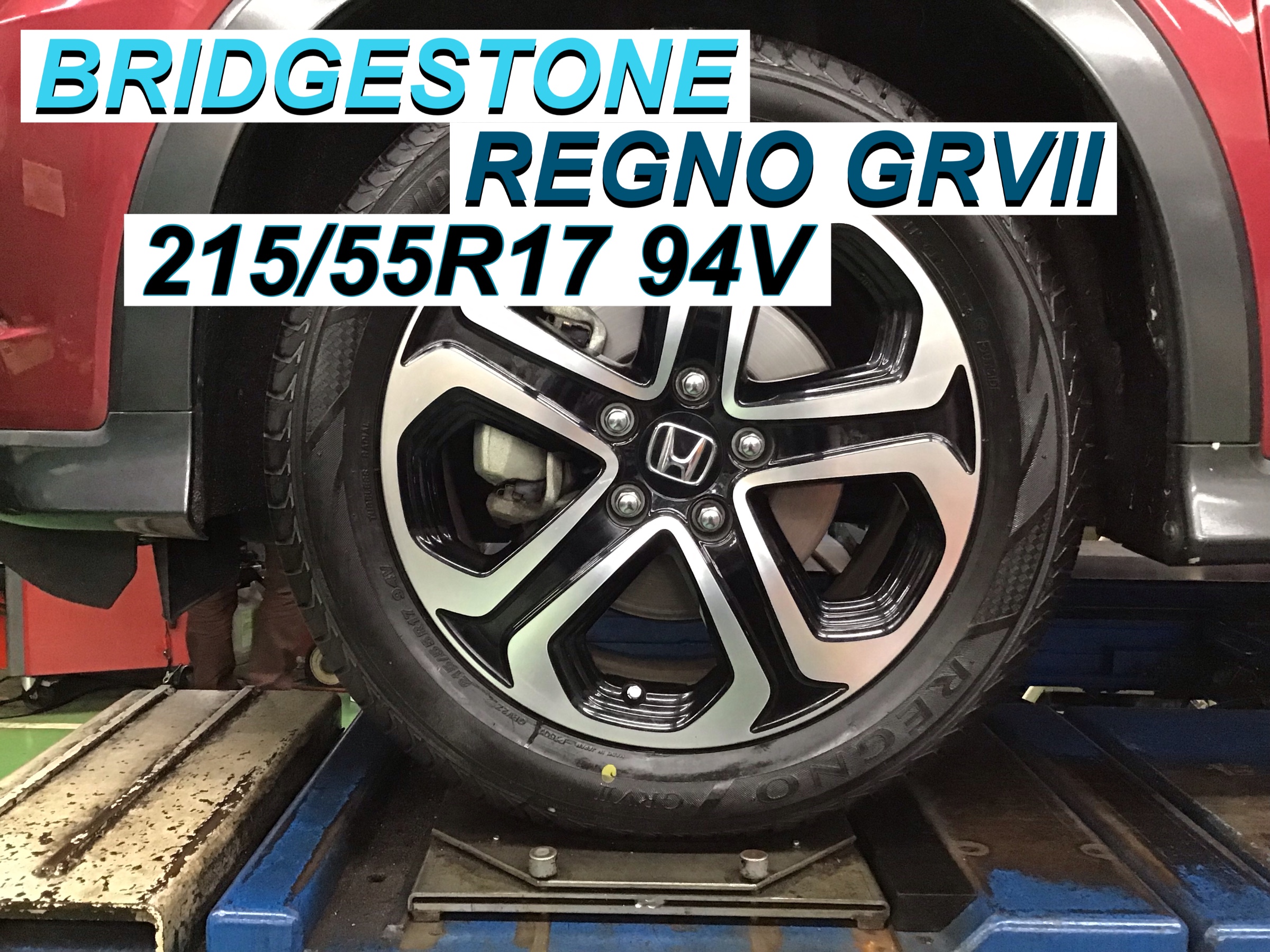 スタッフ撮影画像