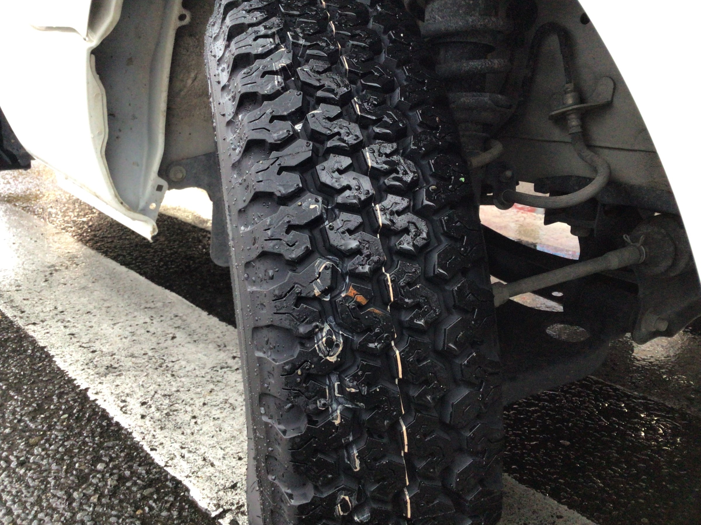 スタッフ撮影分