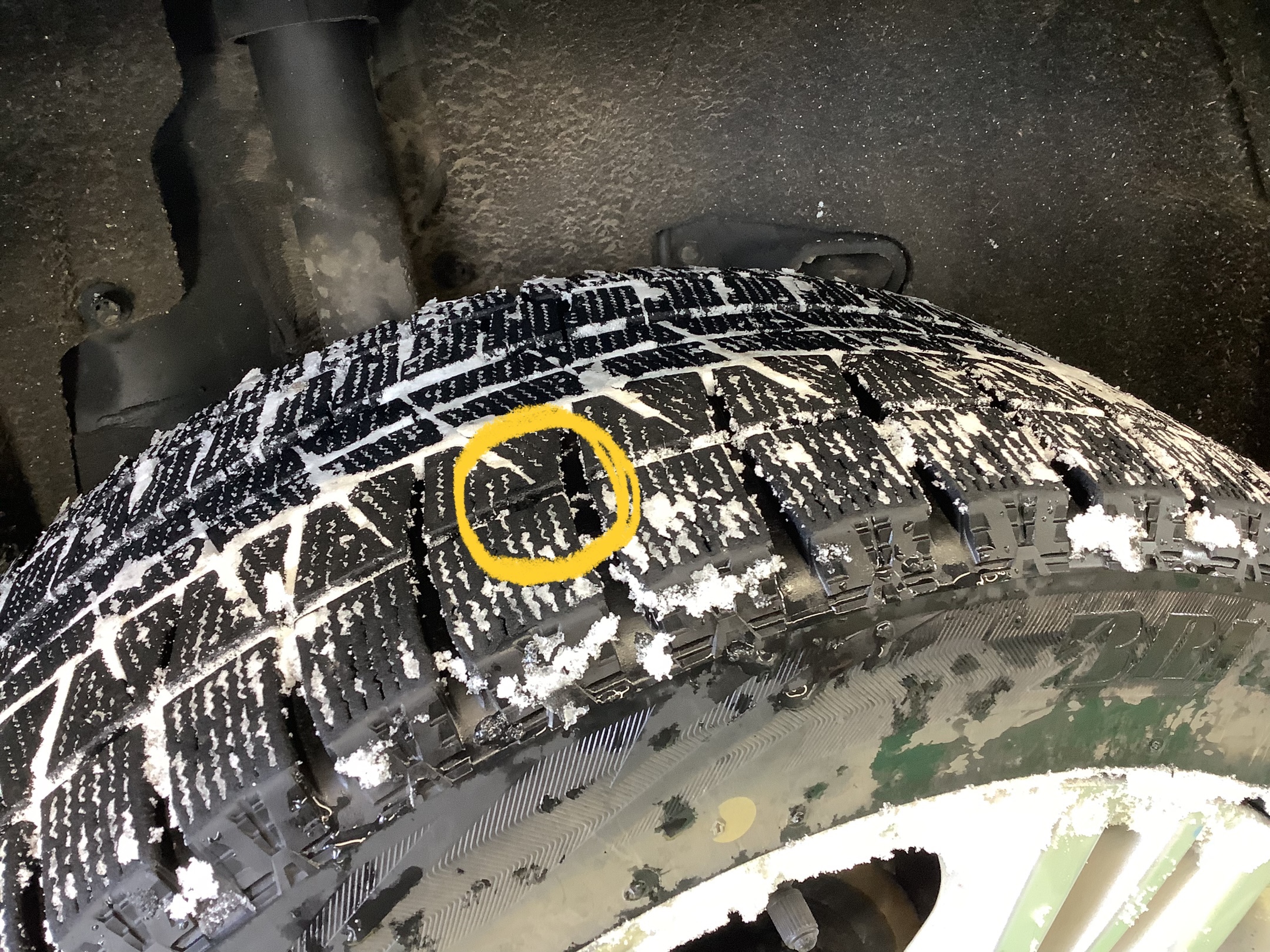 スタッフ撮影です