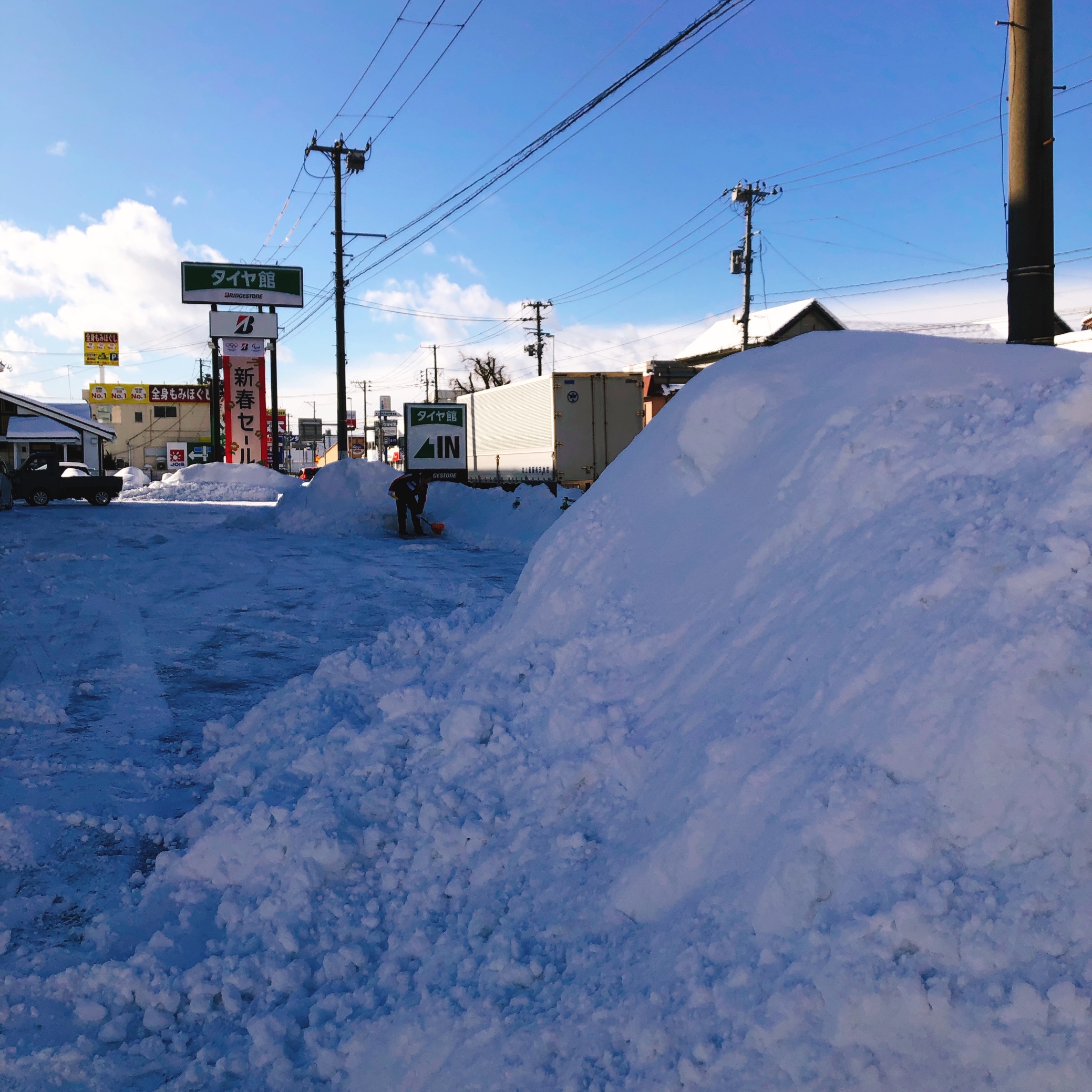 スタッフ撮影です