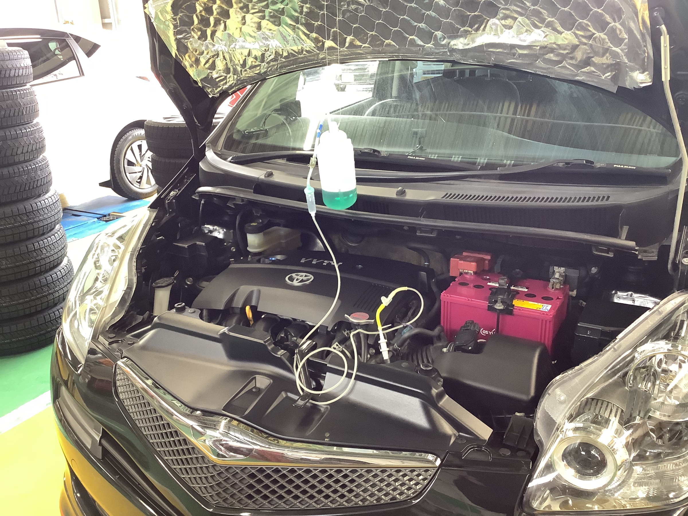 スタッフ撮影です