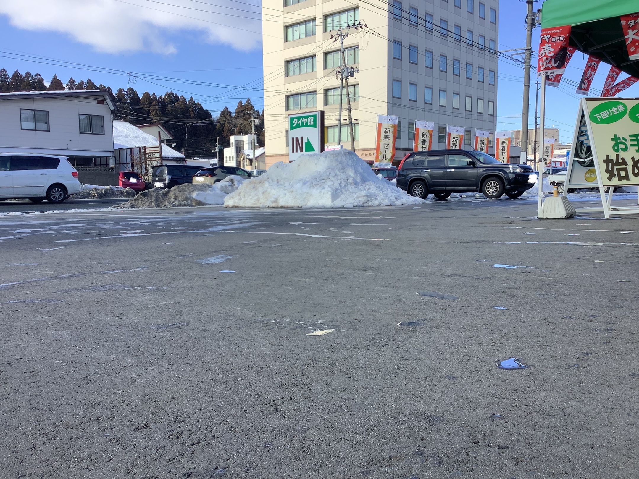 スタッフ撮影です。