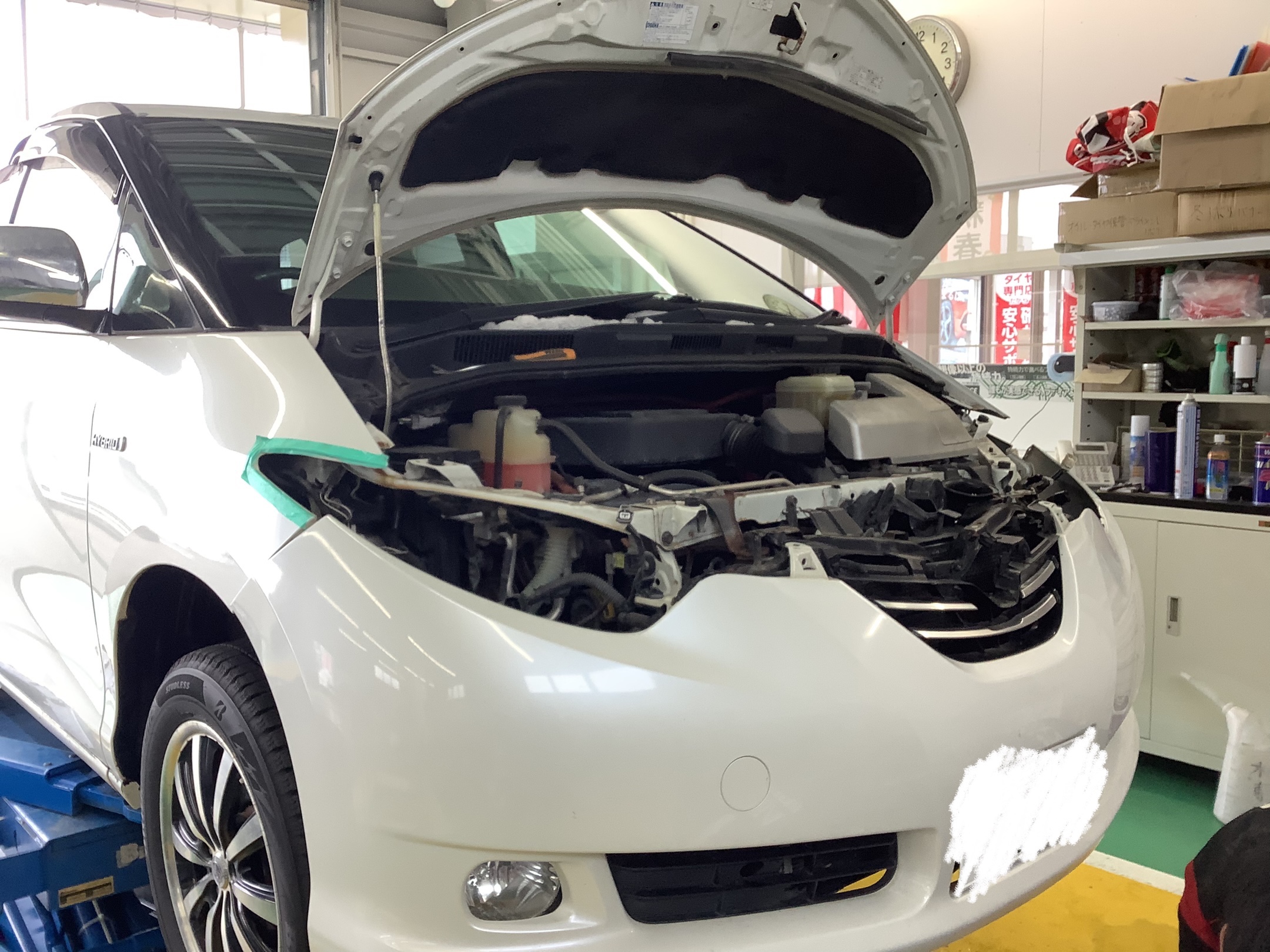 スタッフ撮影です。