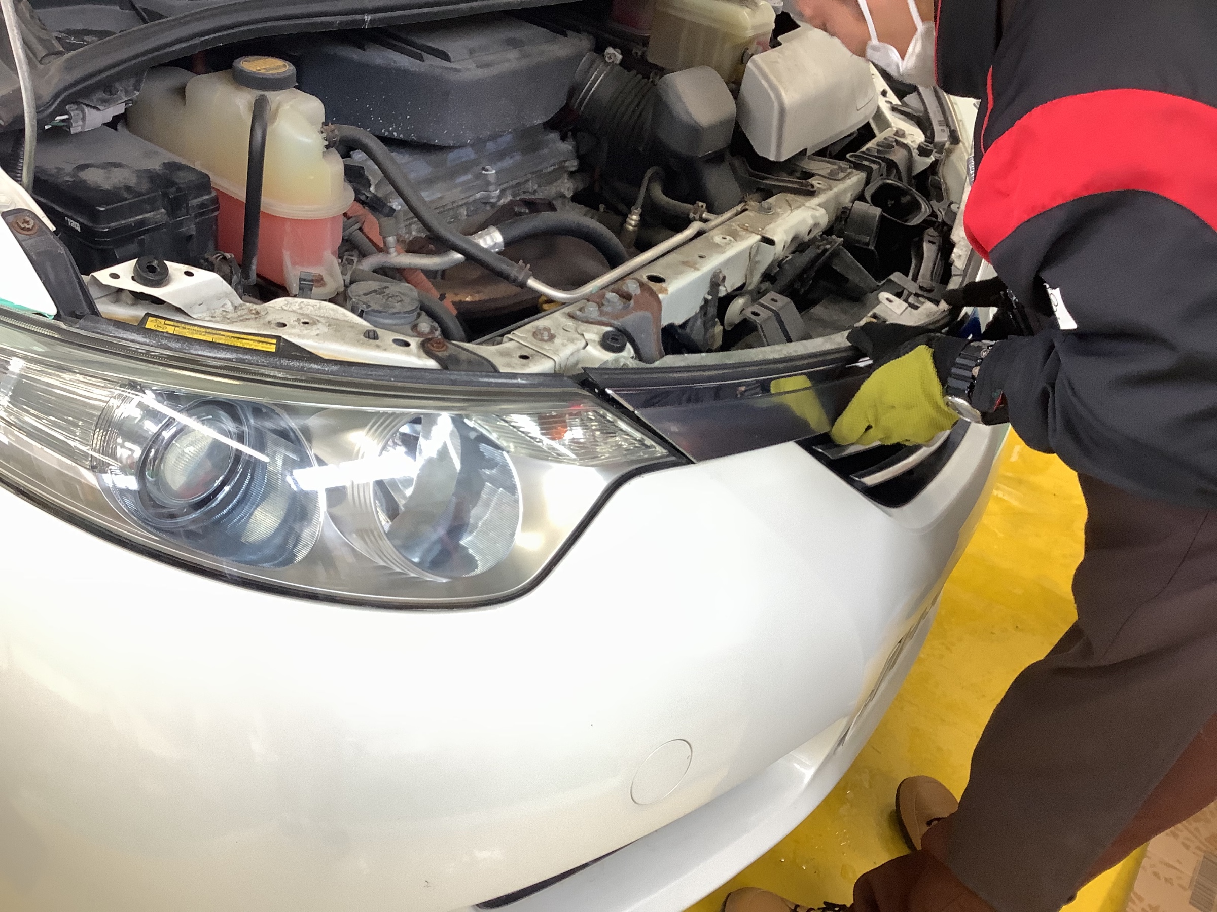 スタッフ撮影です