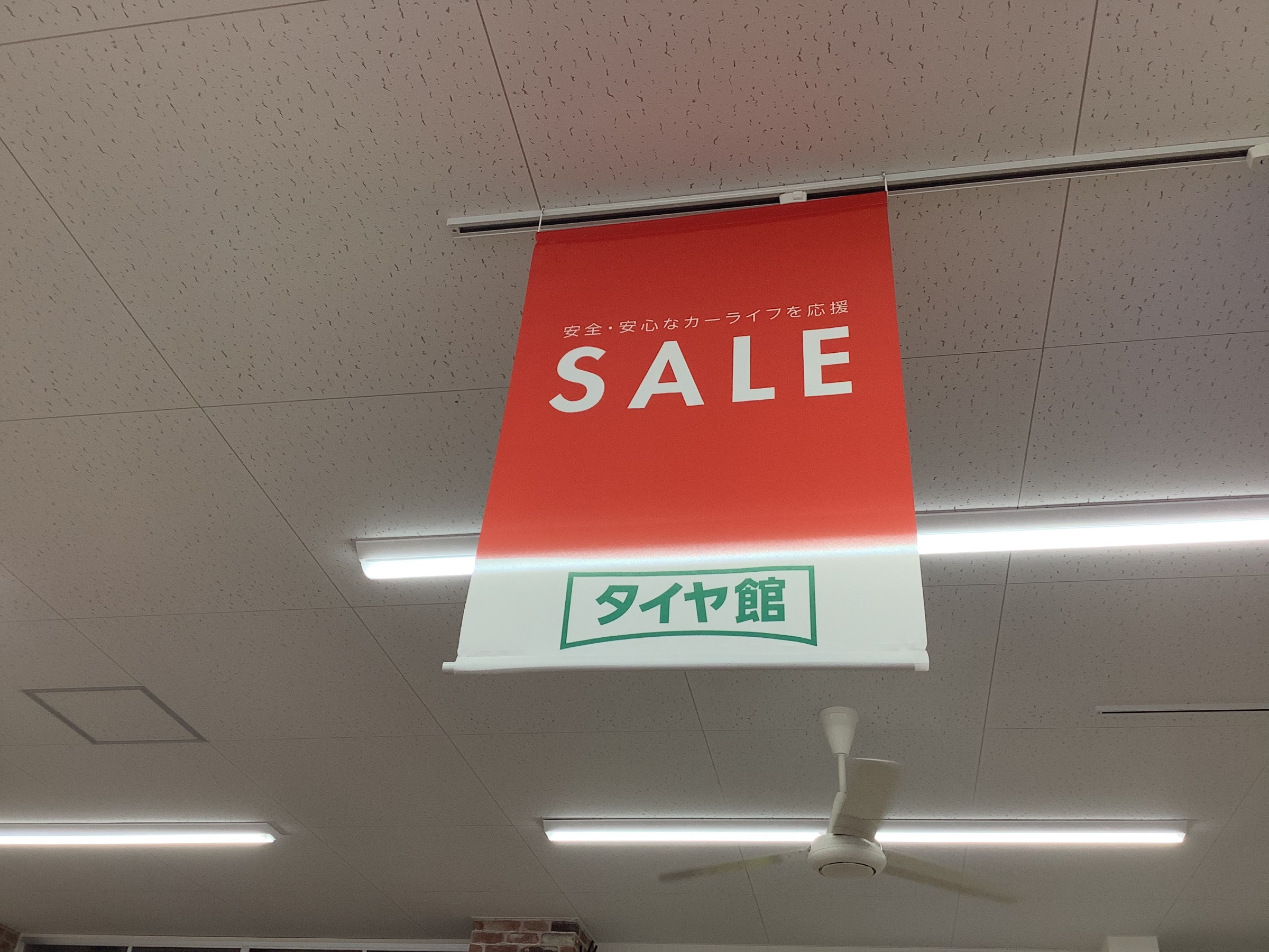 スタッフ撮影です。