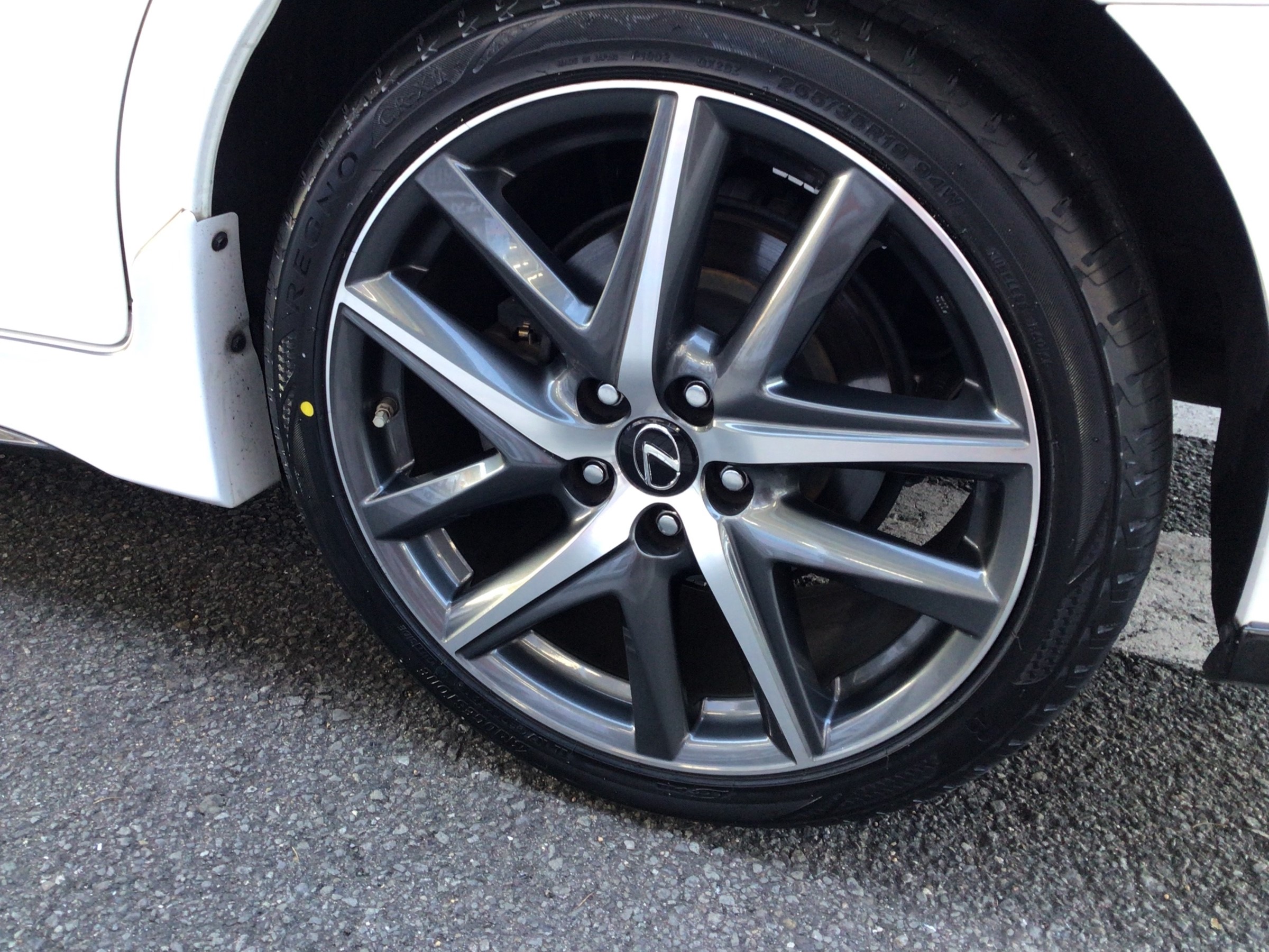 スタッフ撮影分