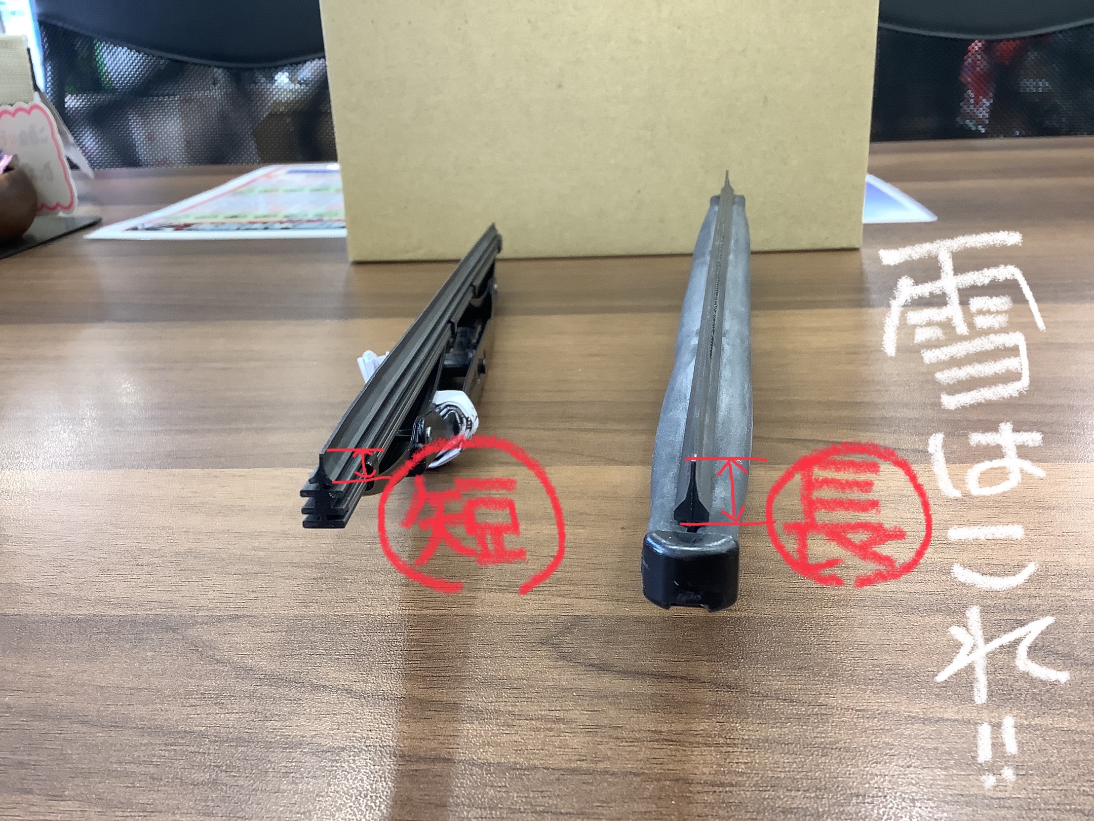 スタッフ撮影です。