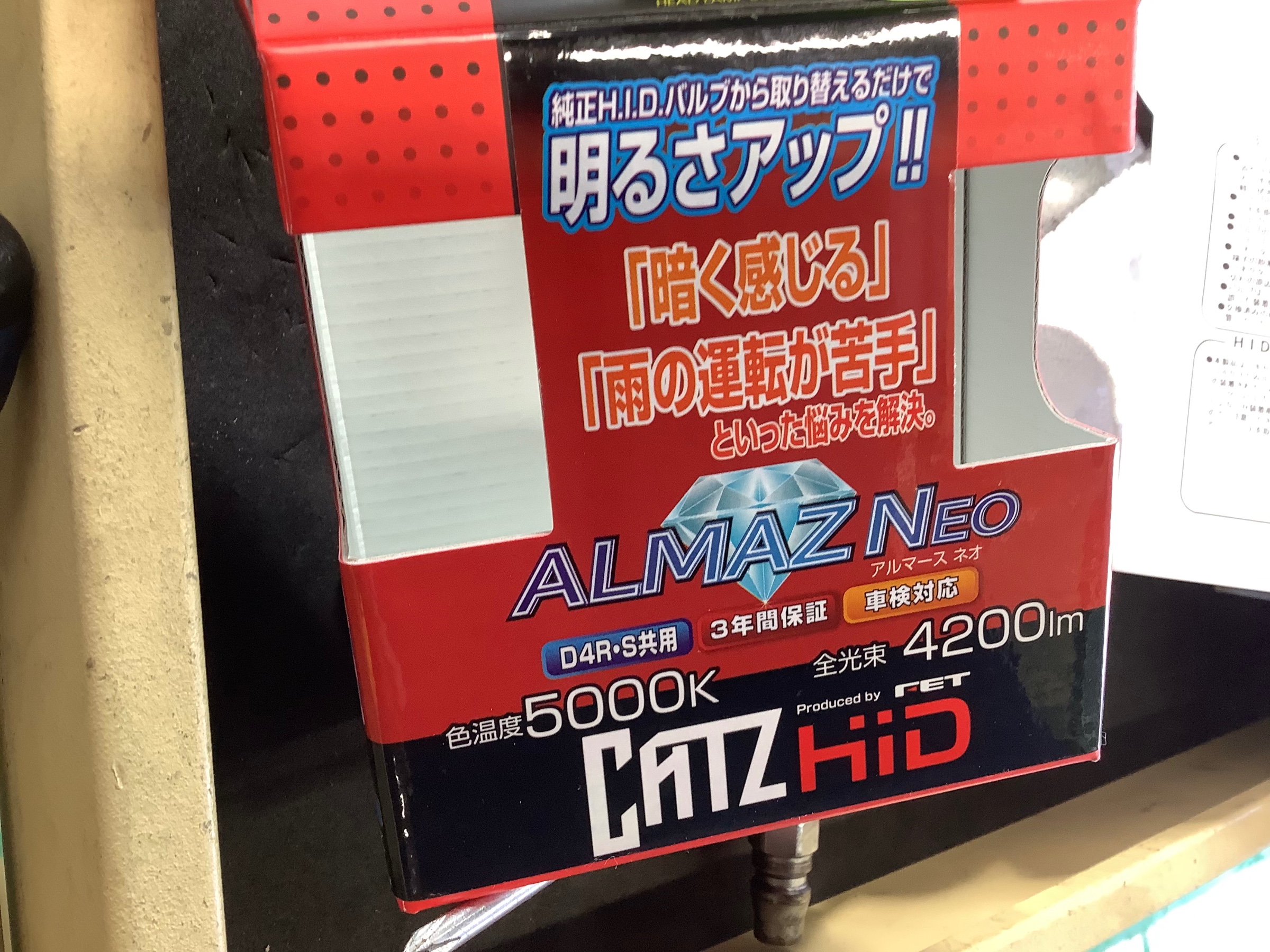 スタッフ撮影です