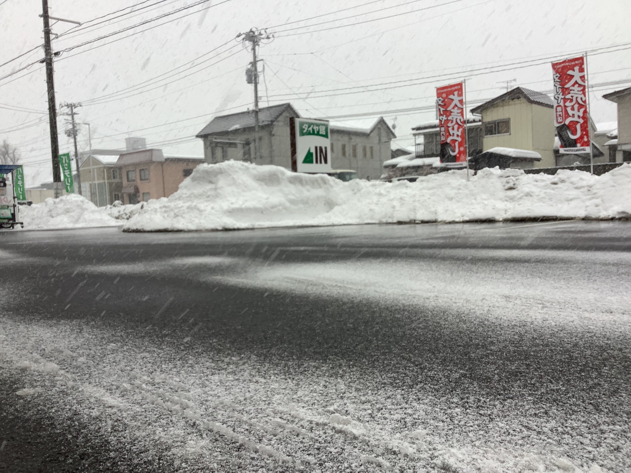 スタッフ撮影です