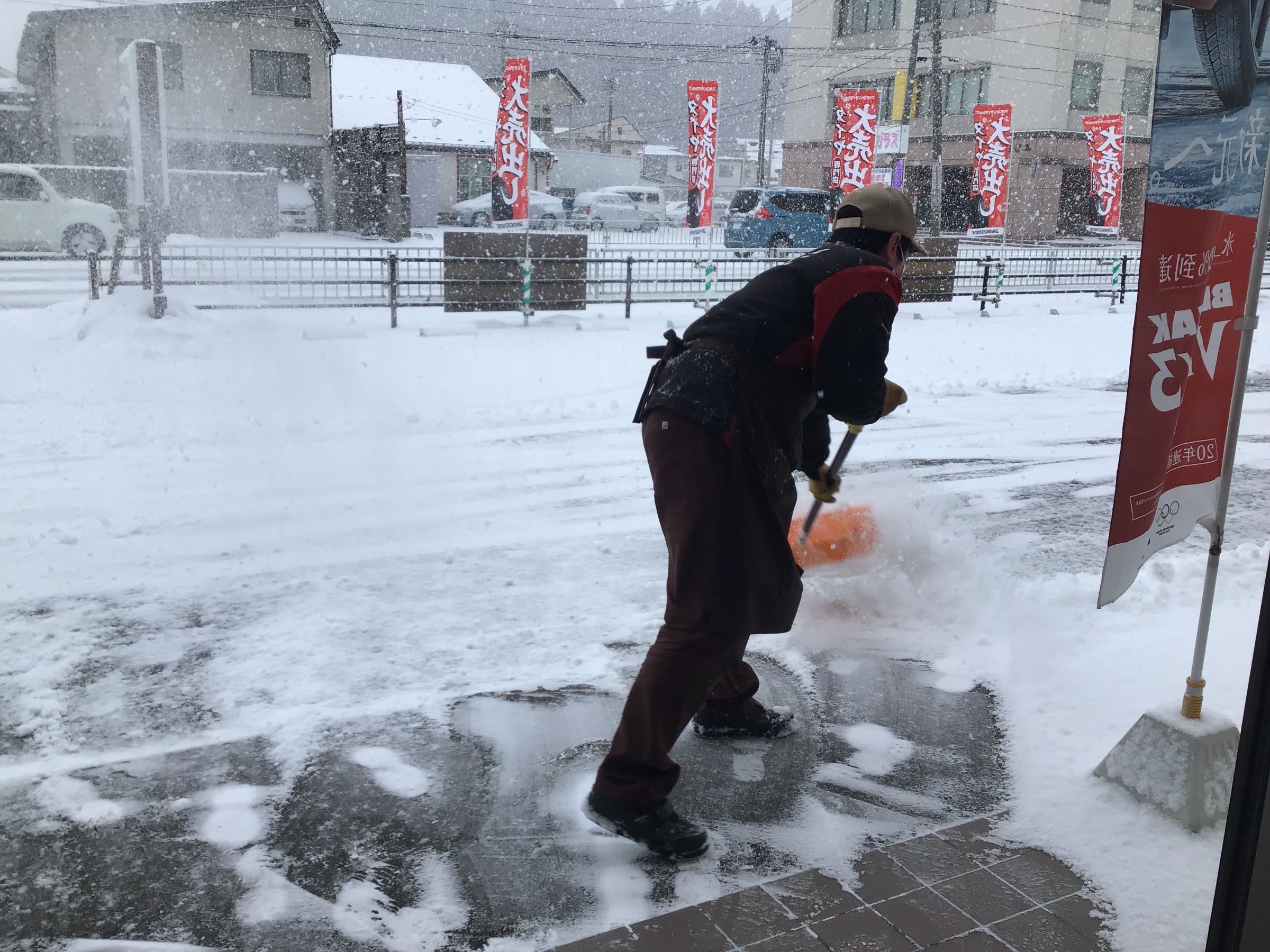 スタッフ撮影です。