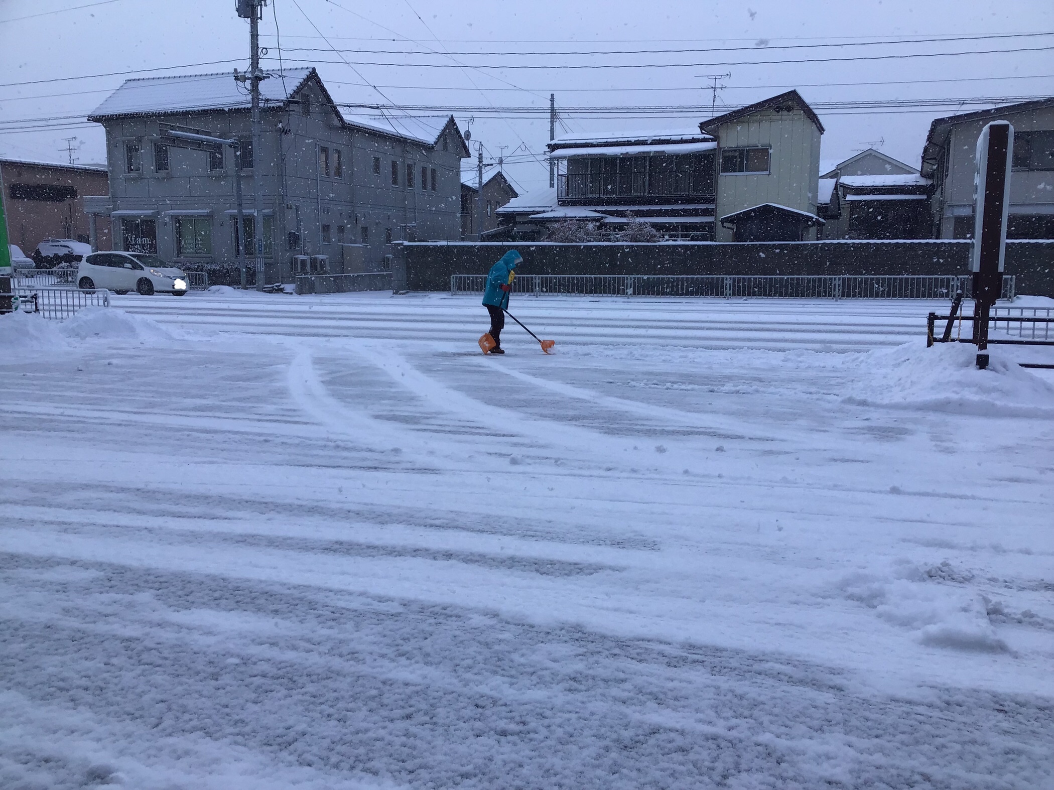 スタッフ撮影です。