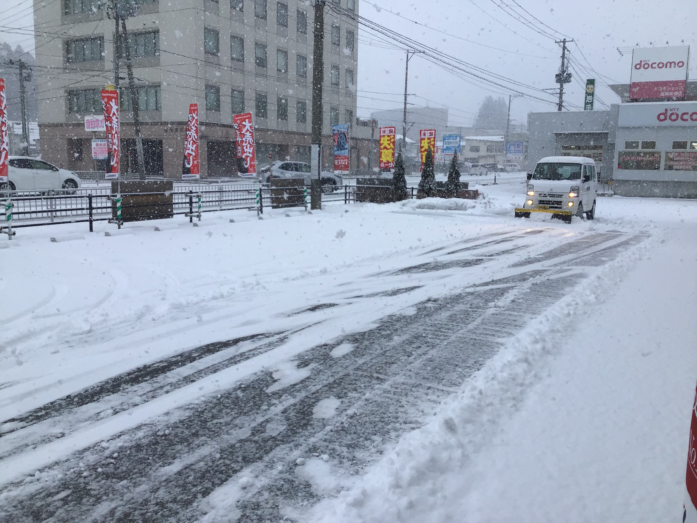 スタッフ撮影です。