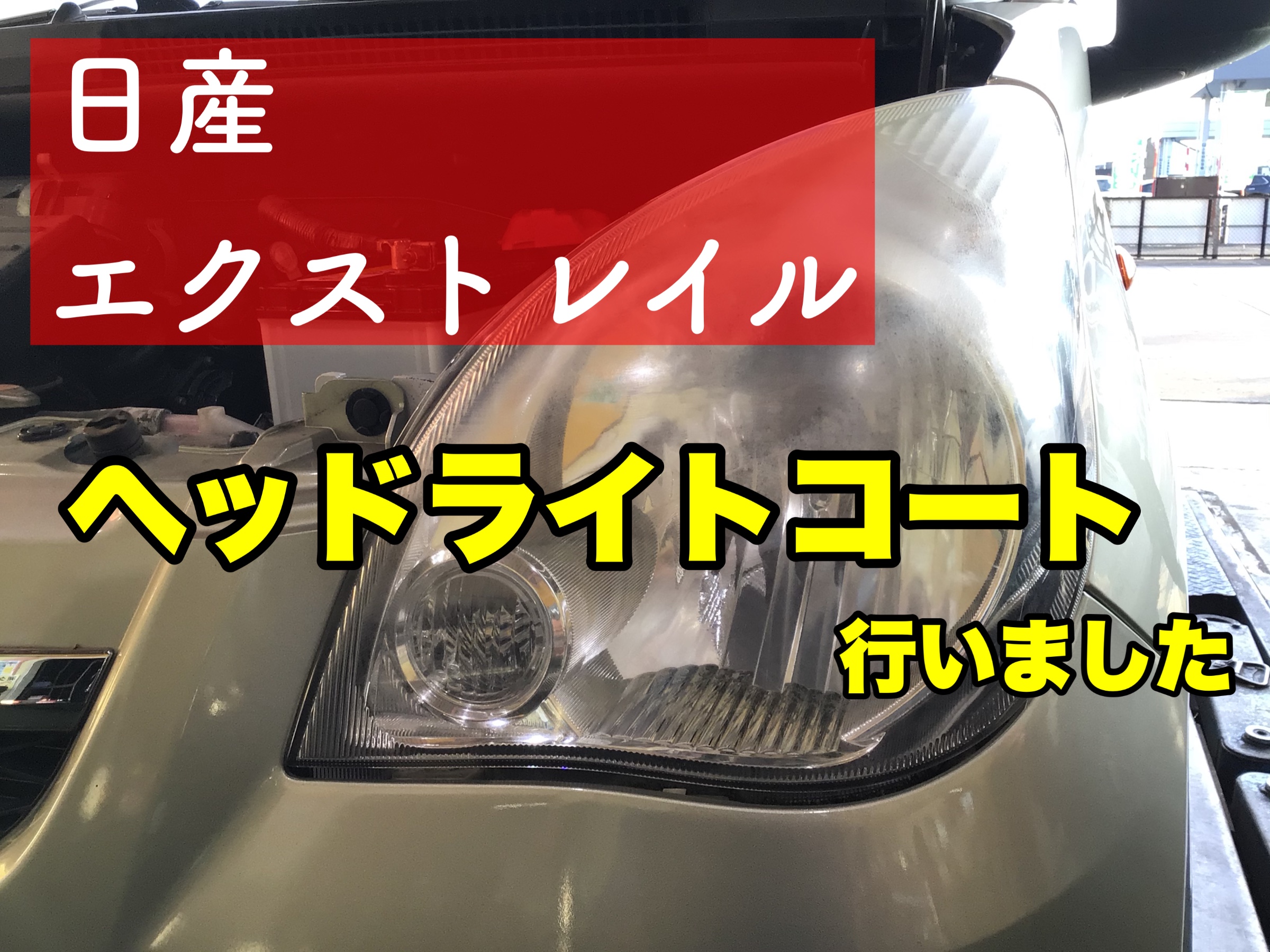 スタッフが撮影加工した画像です