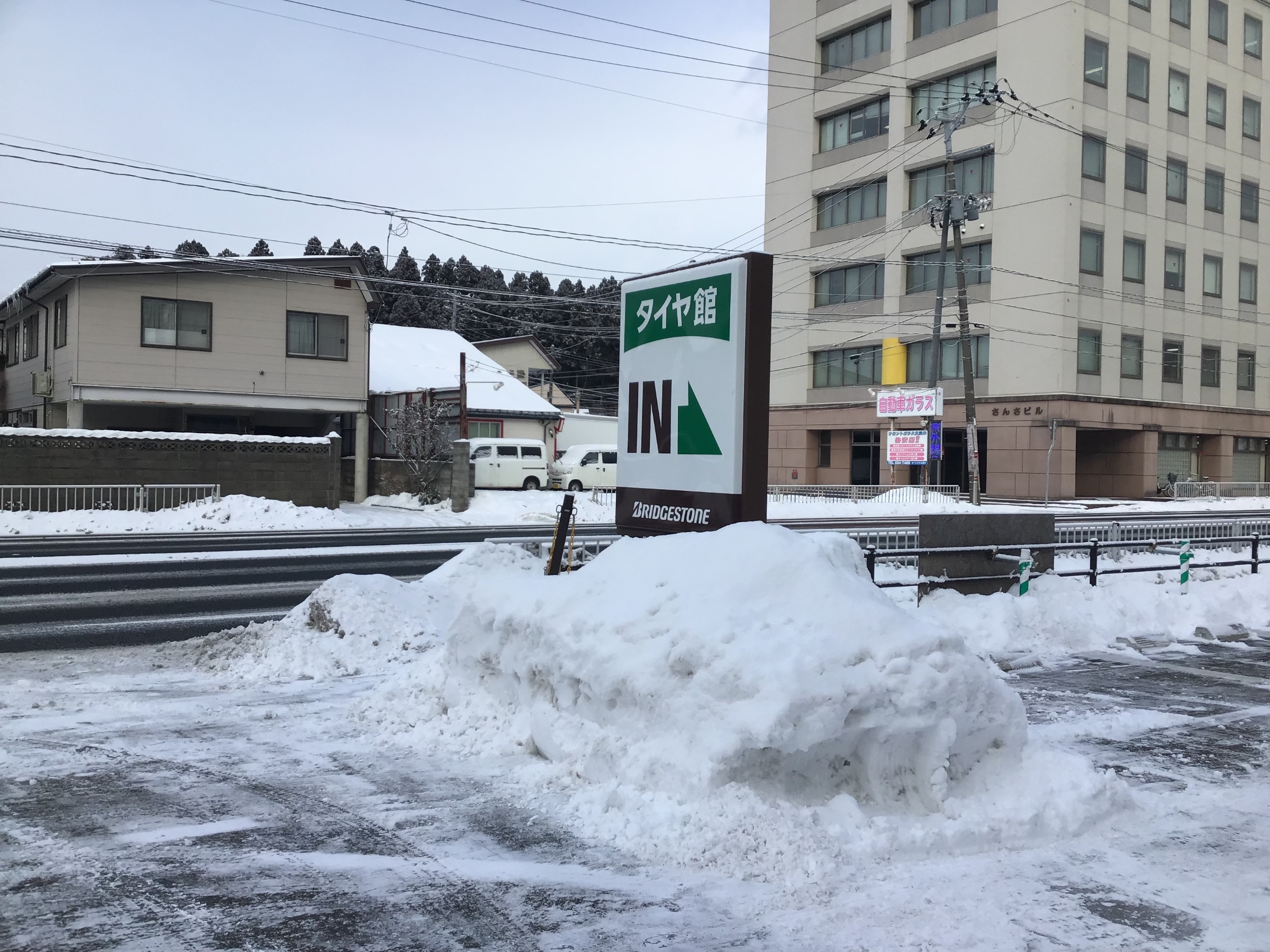スタッフ撮影です