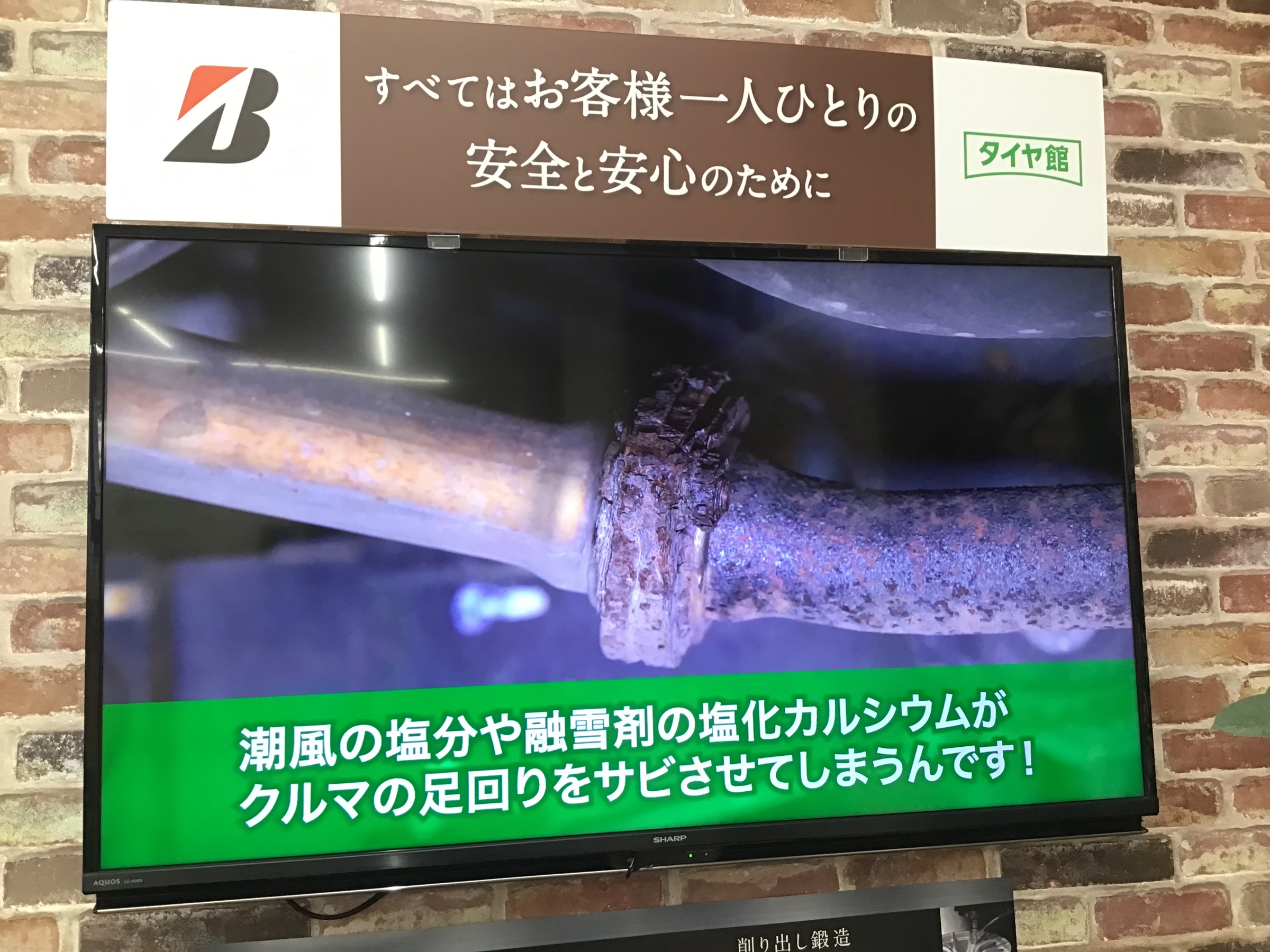 スタッフ撮影です。