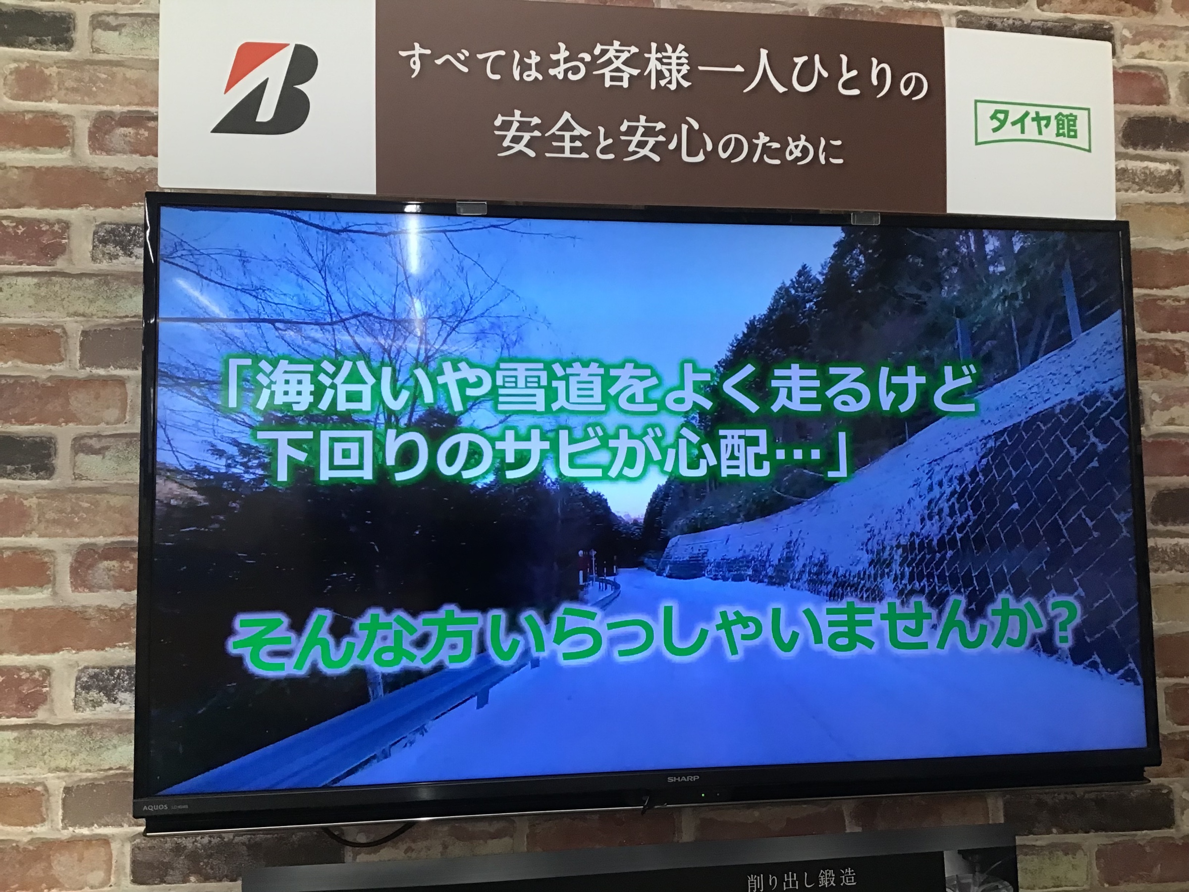 スタッフ撮影です